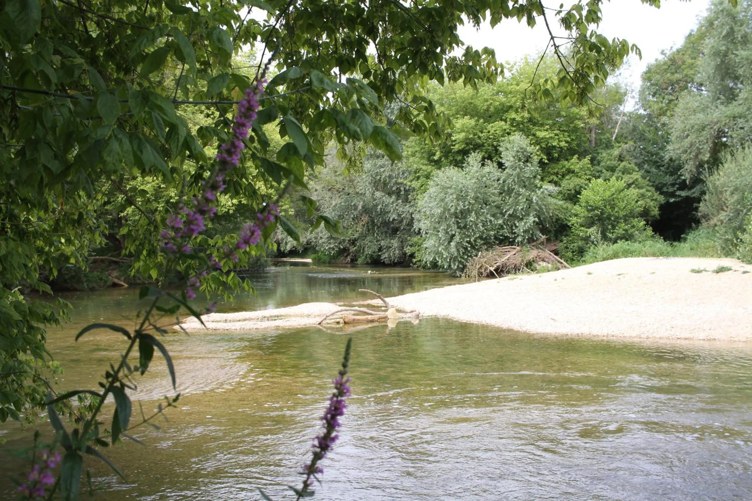 Natural landscape in Le clos des artistes - Chambres d'hôtes