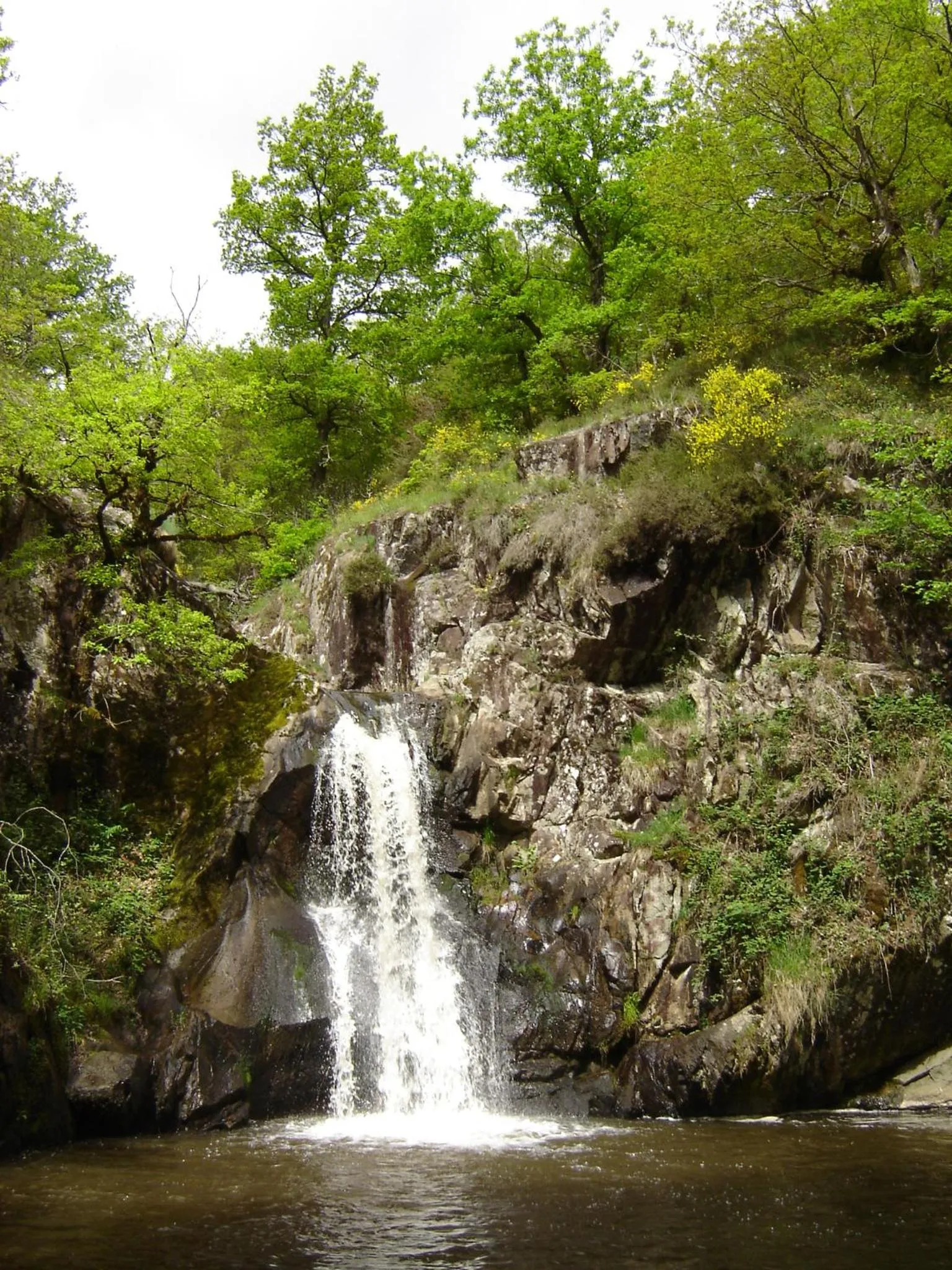 Natural landscape in Aux 2 Puys - Gîte "Le Lemptégy"
