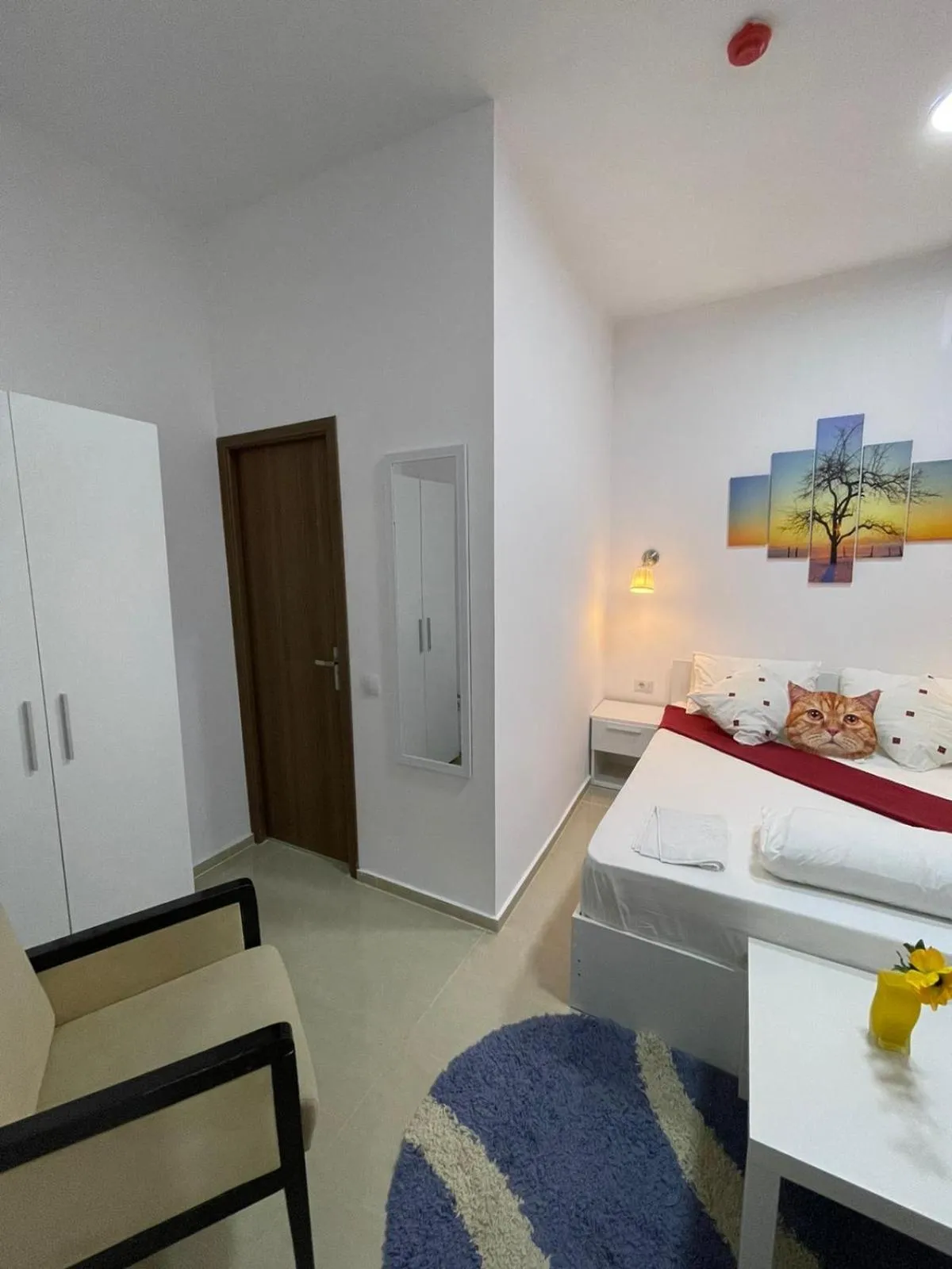 Bed in Hostel Tripoli Palace