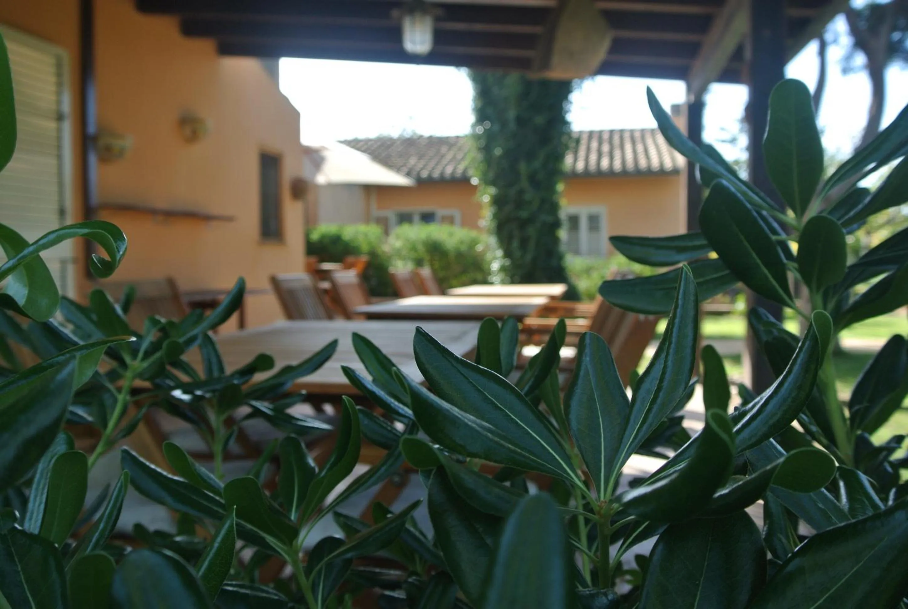 Breakfast in Villa Carlotta Resort