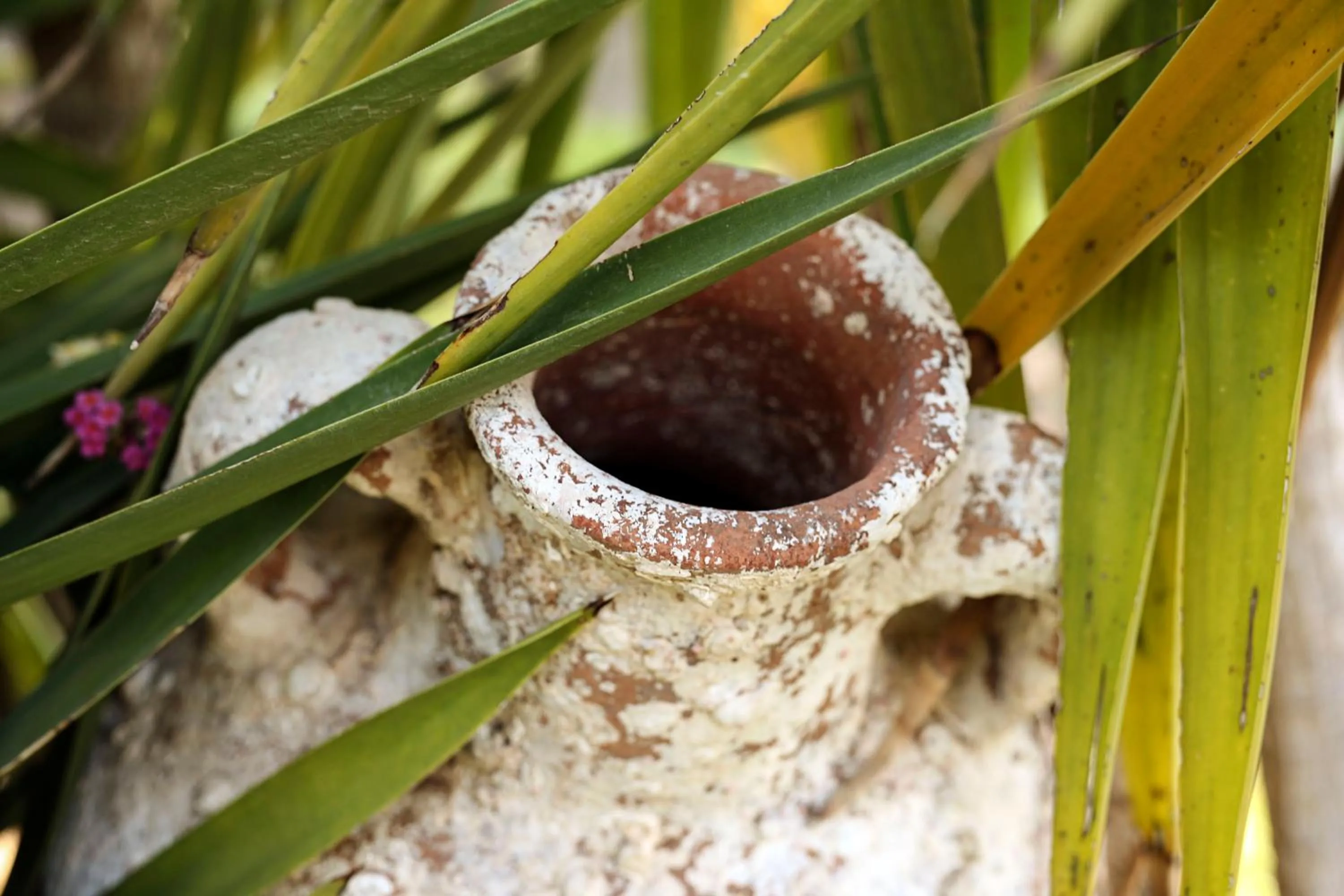 Decorative detail in Villa Carlotta Resort