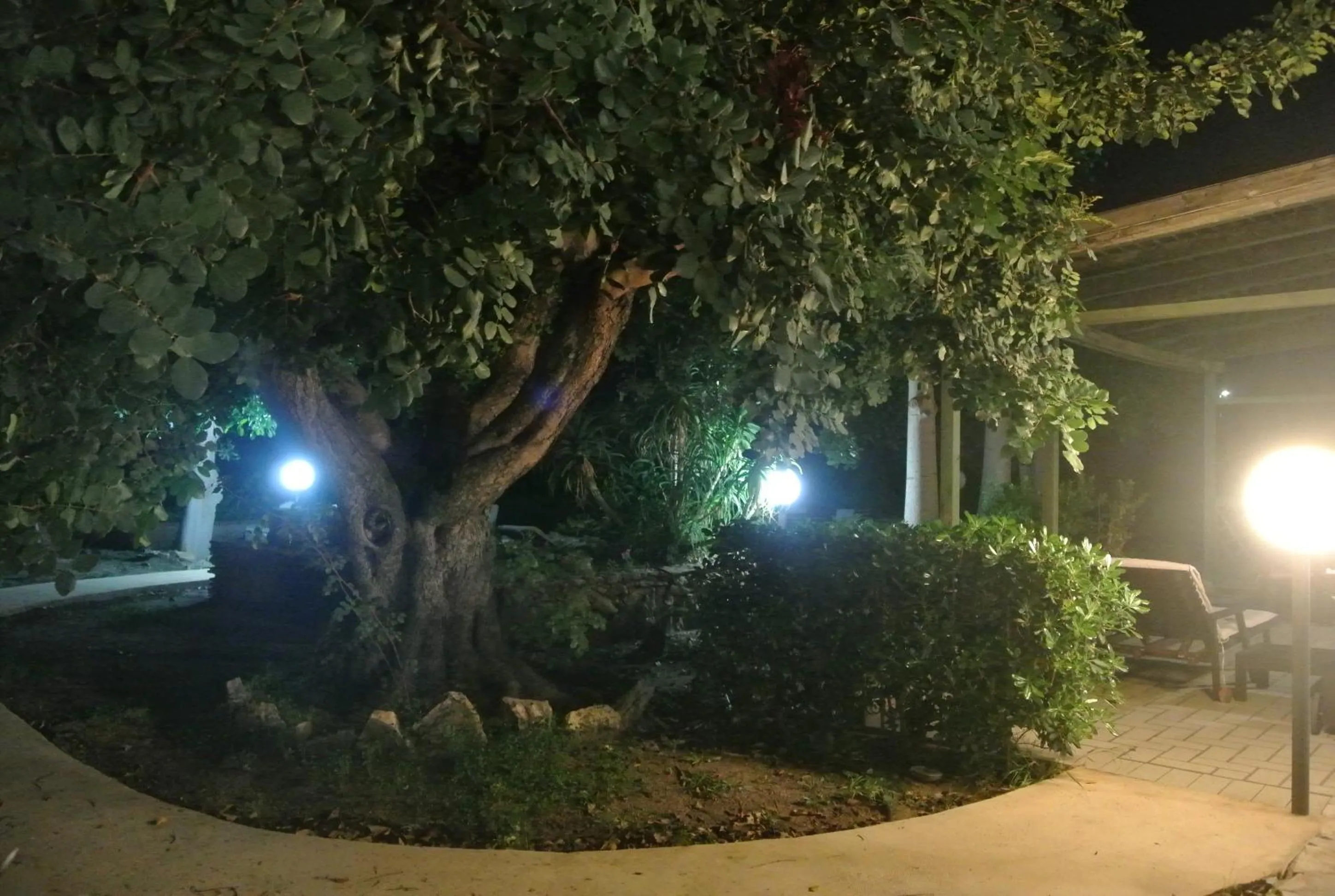 Night in Villa Carlotta Resort