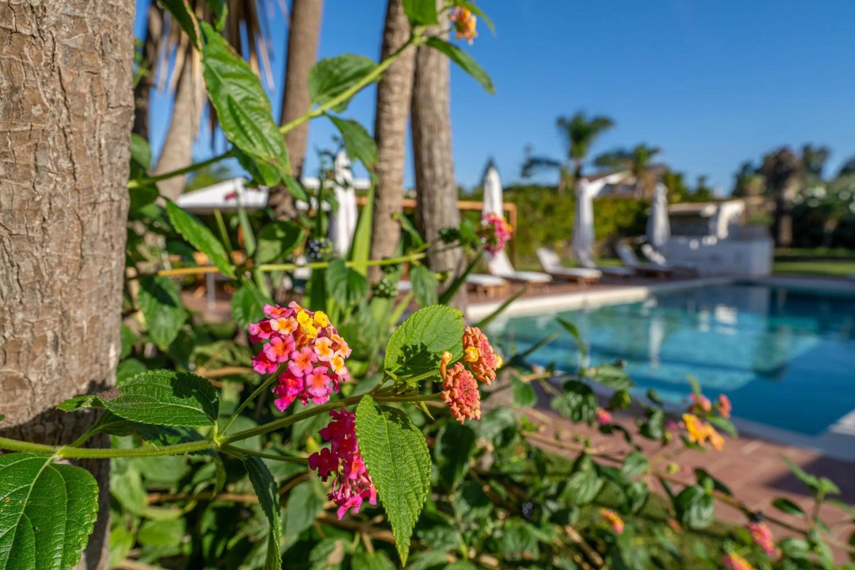 Pool view in Villa Carlotta Resort