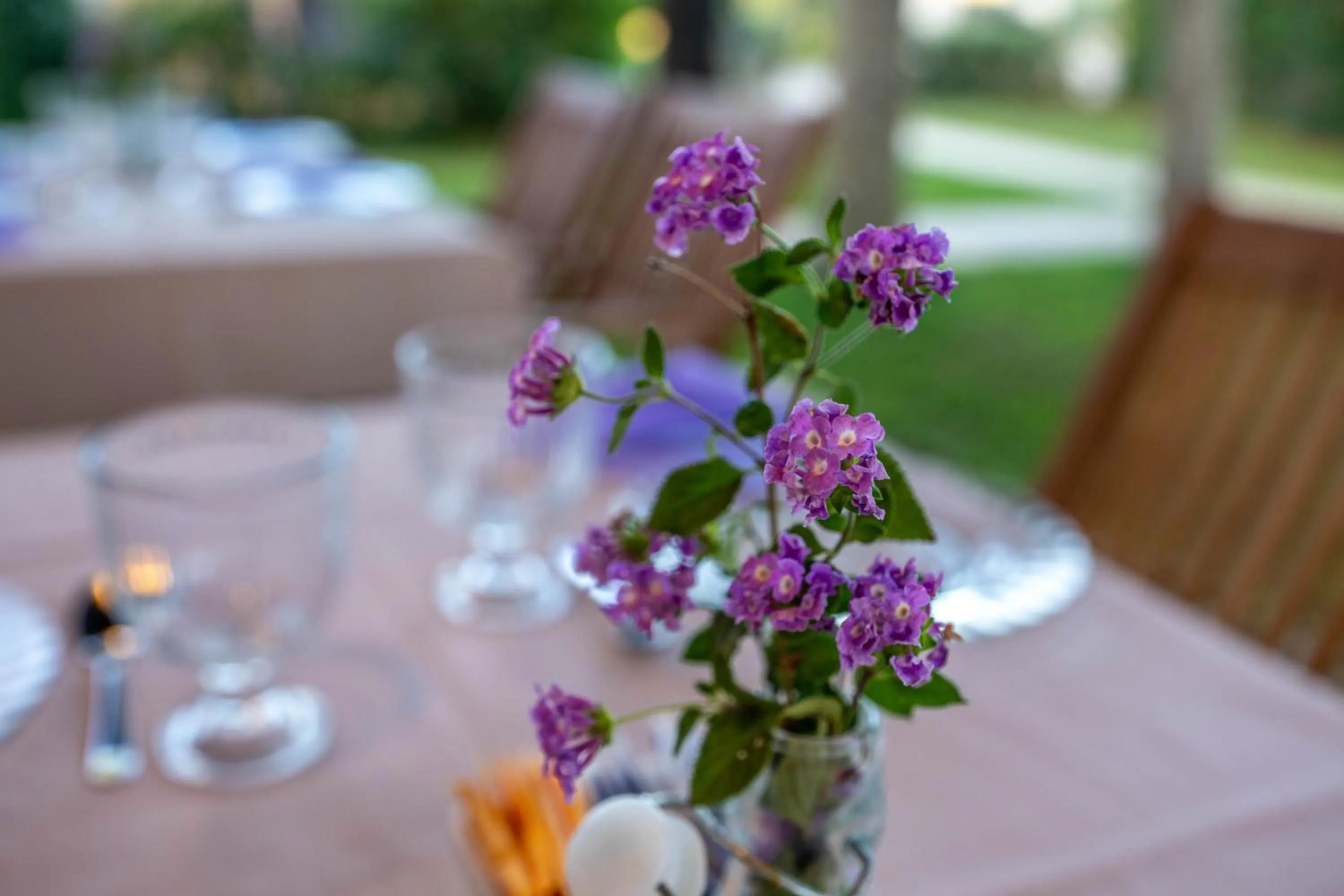 Lunch in Villa Carlotta Resort