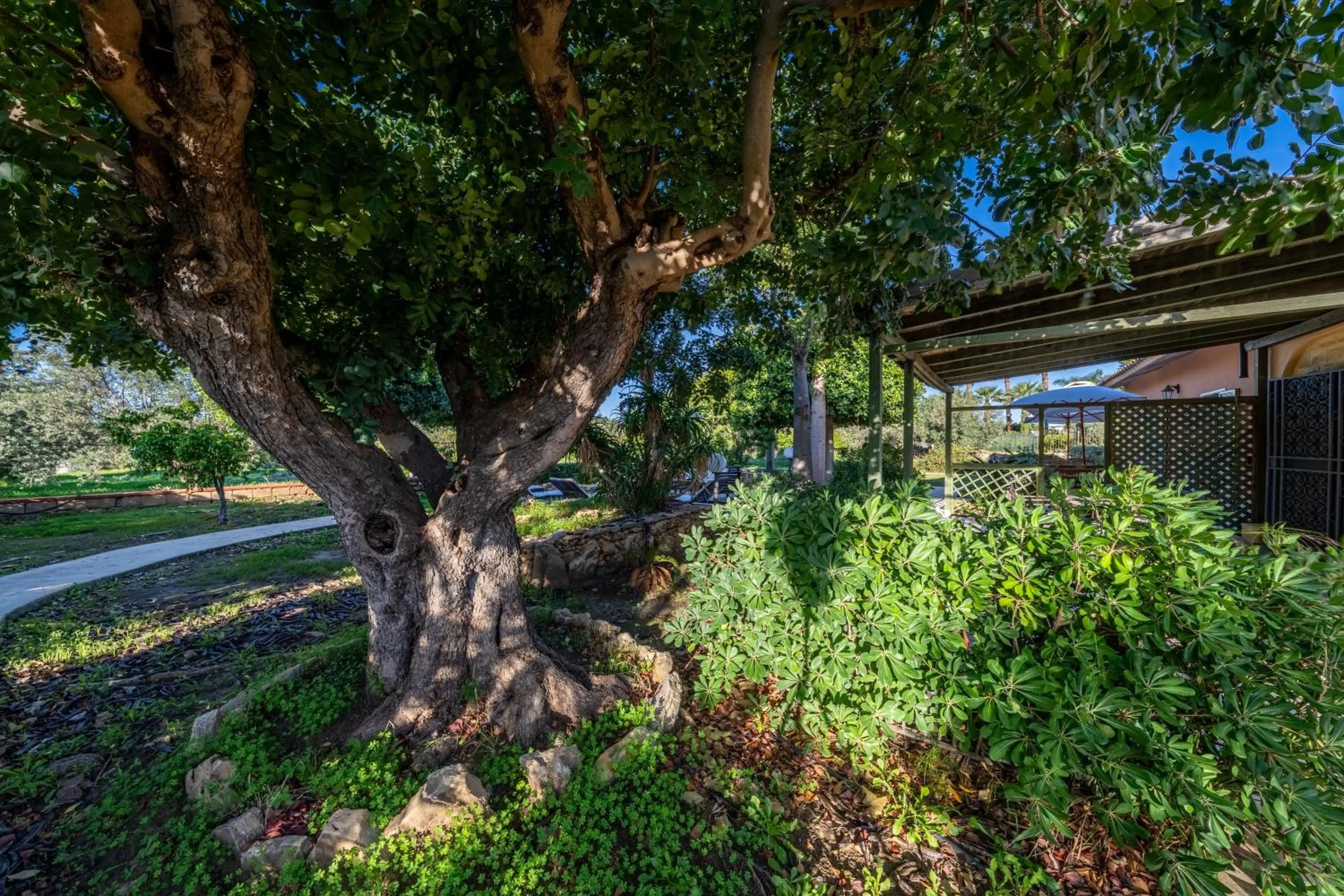 Garden in Villa Carlotta Resort