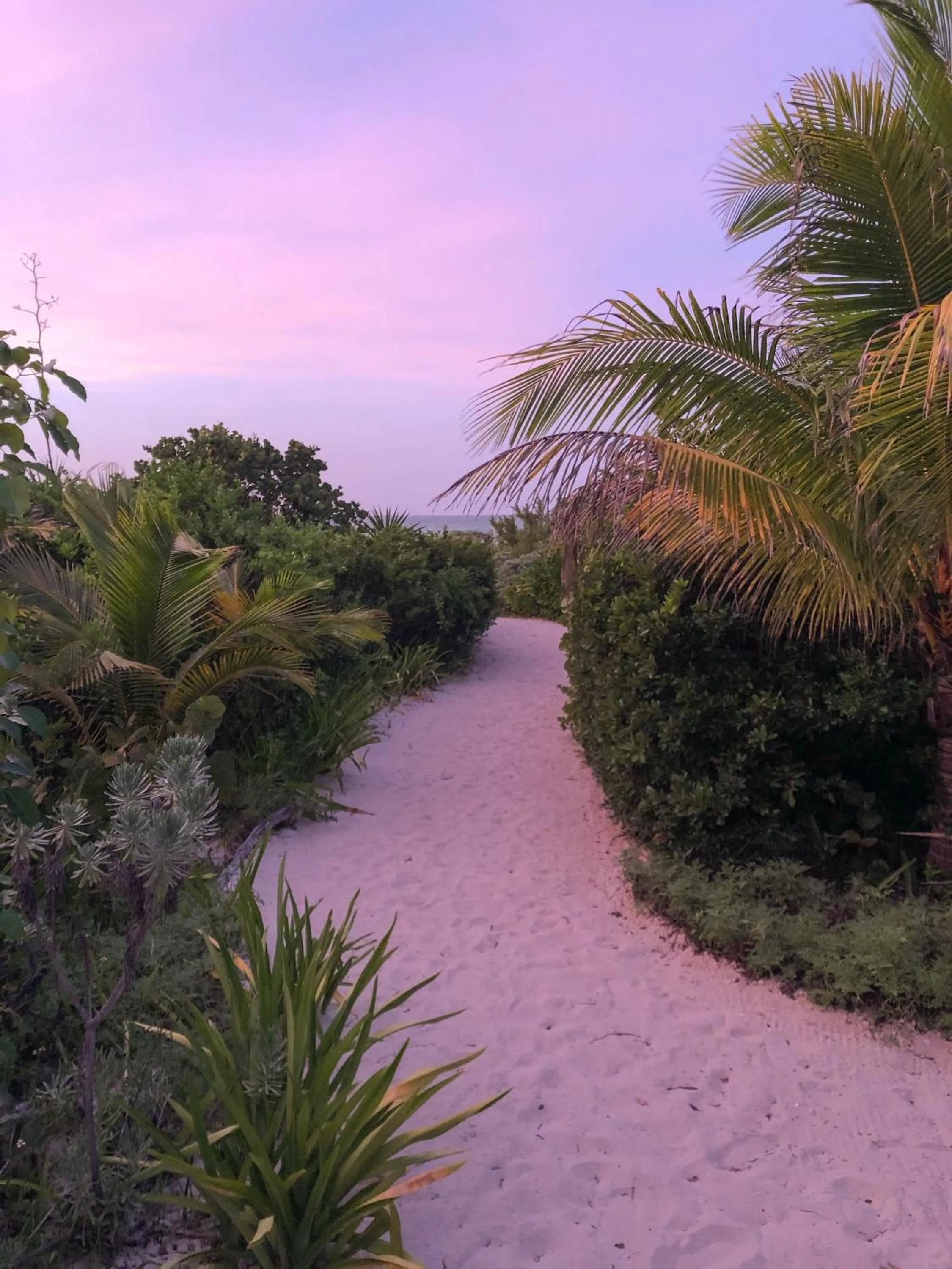 Beach in Club de Patos