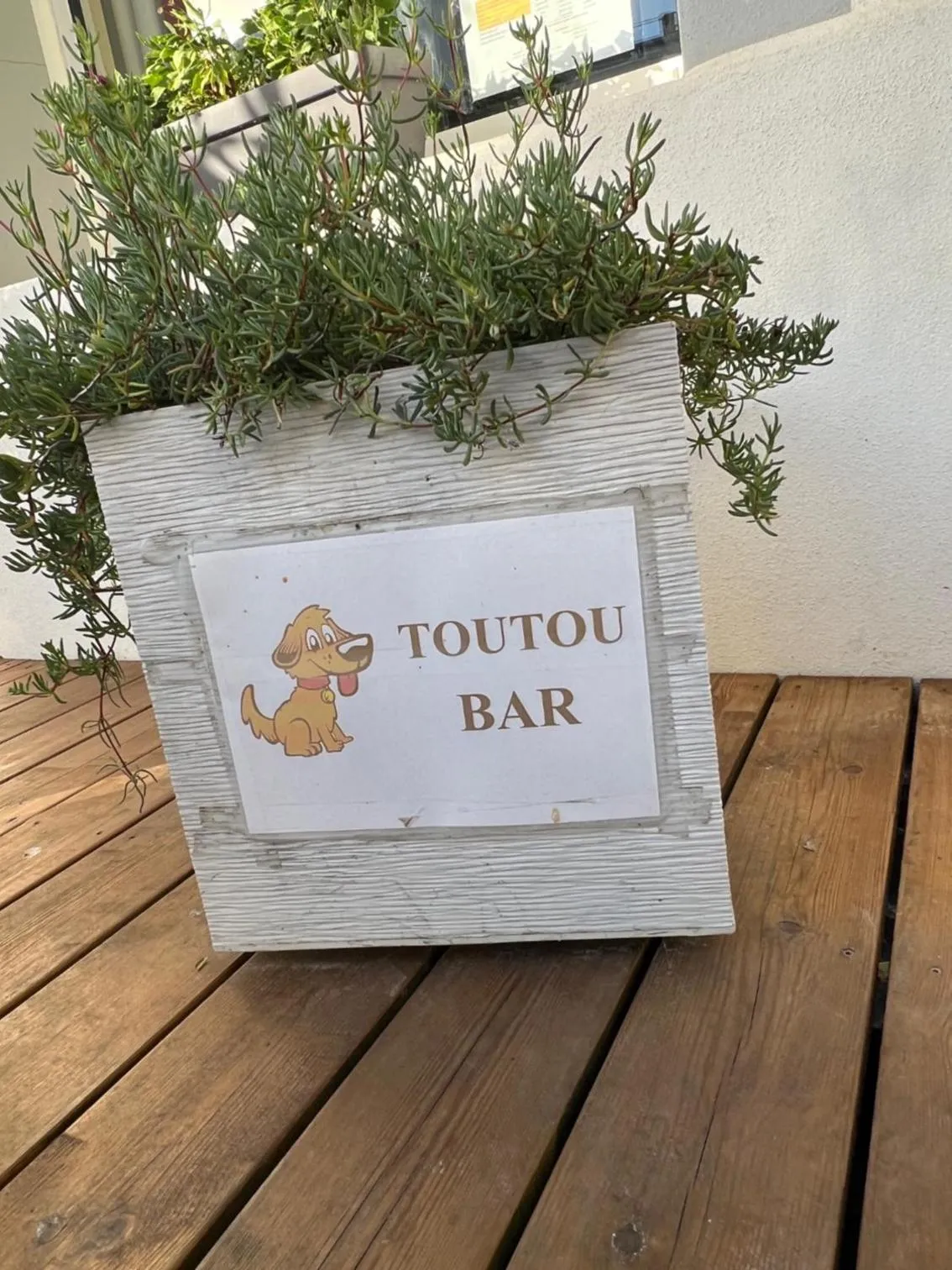 Le Crist'Al, hôtel climatisé, front de mer, proche du centre ville, et solution de restauration