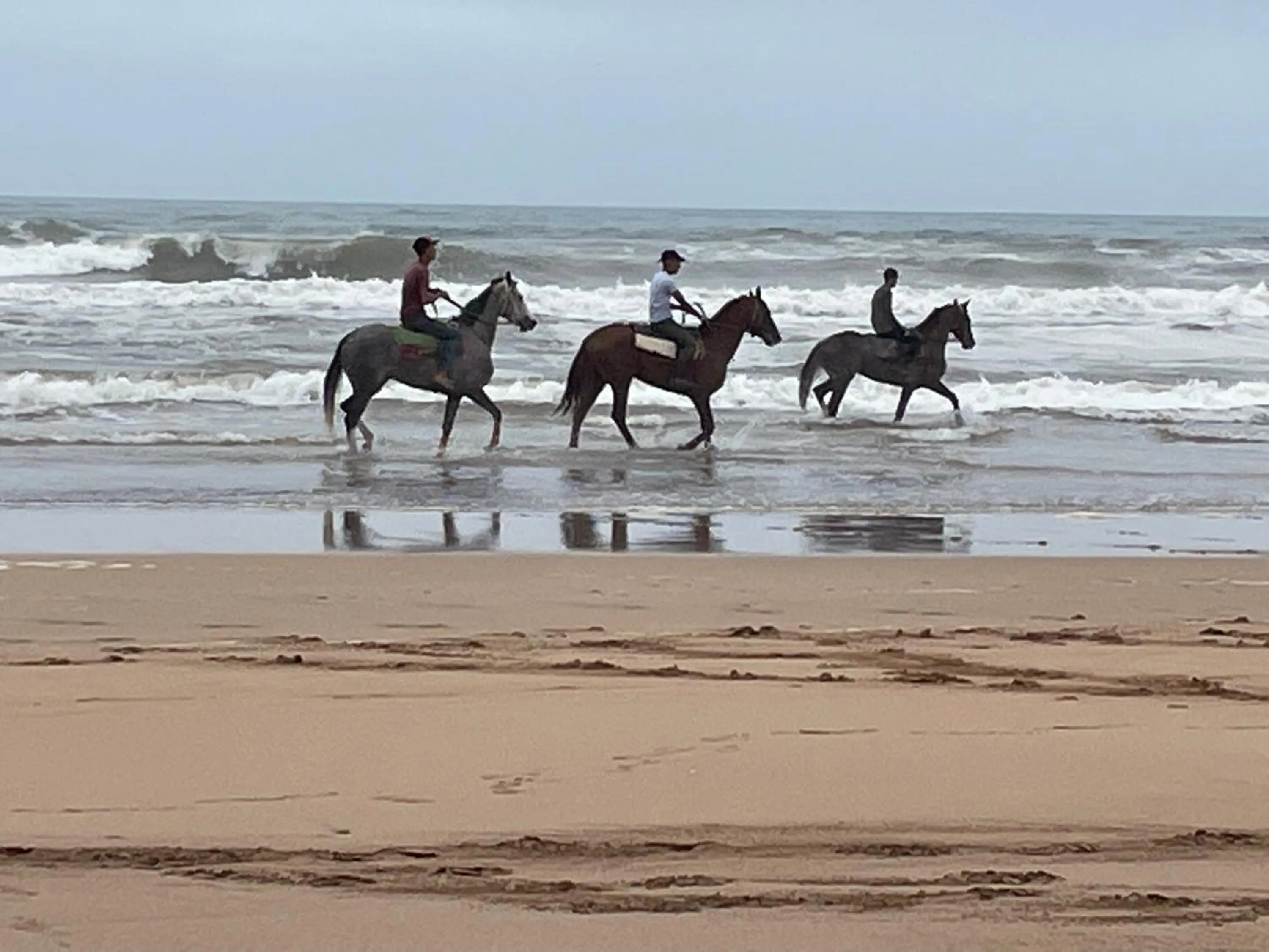 Horse-riding in Riad Dar El Malaika