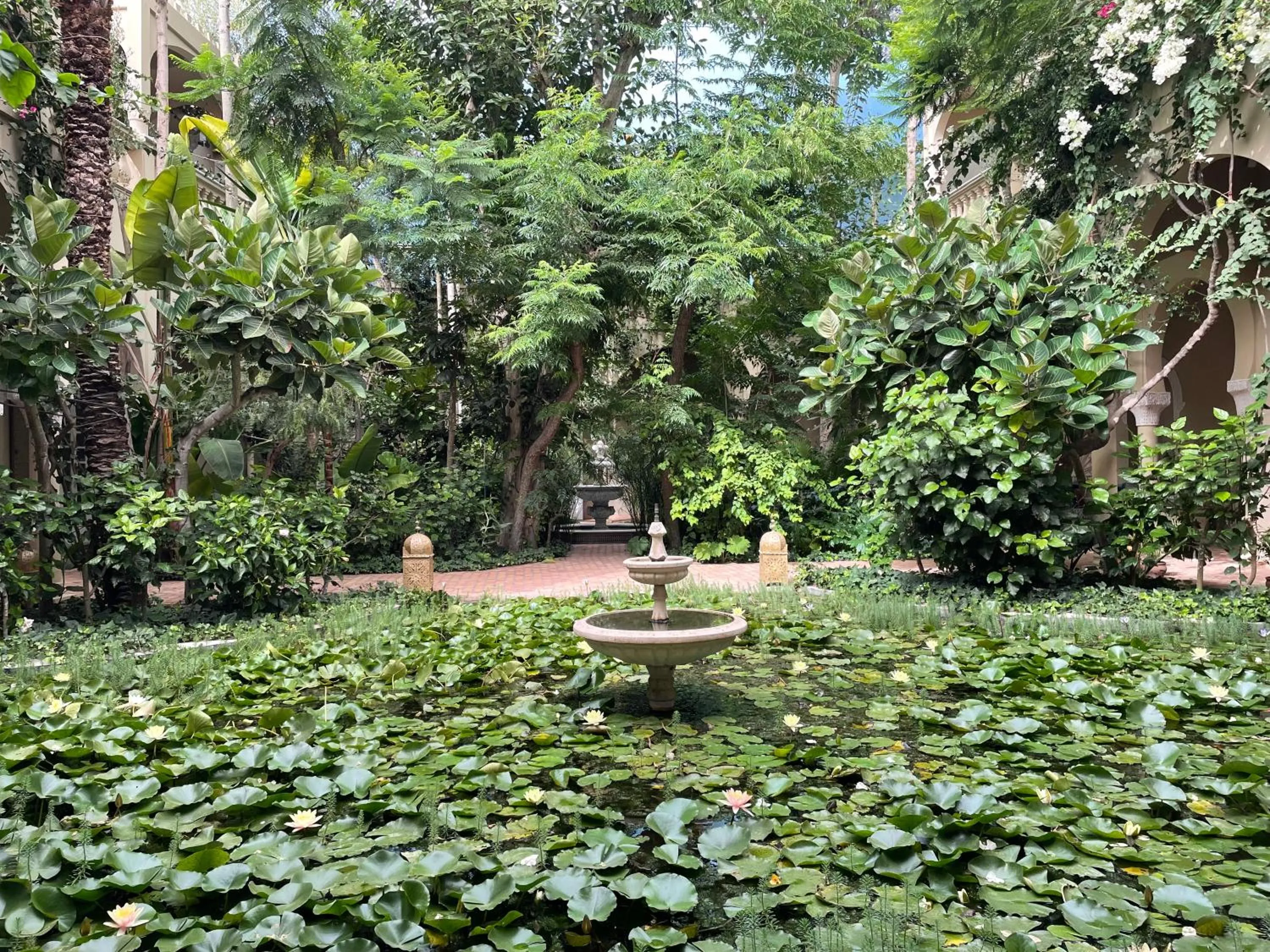 Garden in Riad Dar El Malaika