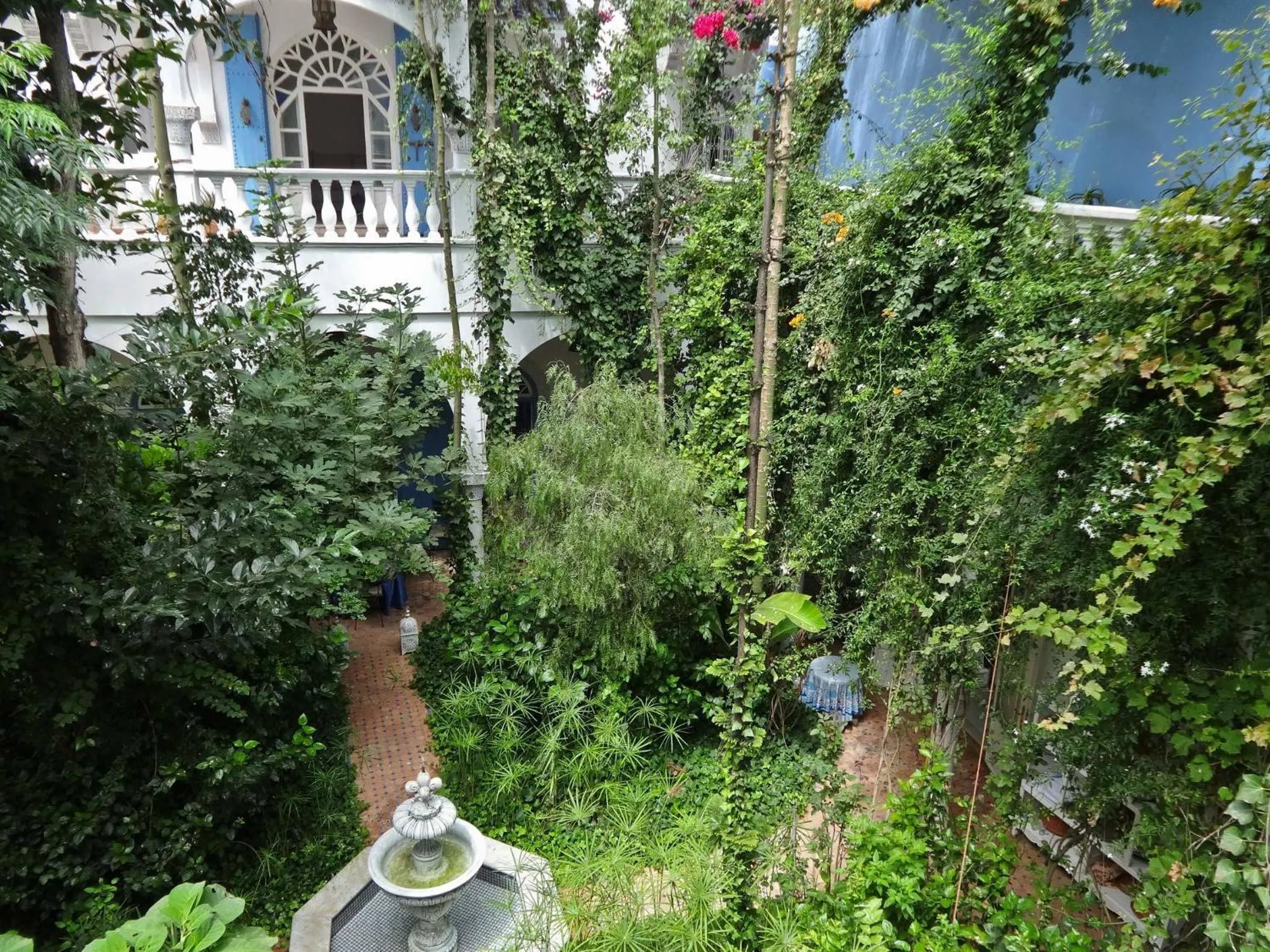 Garden in Riad Dar El Malaika