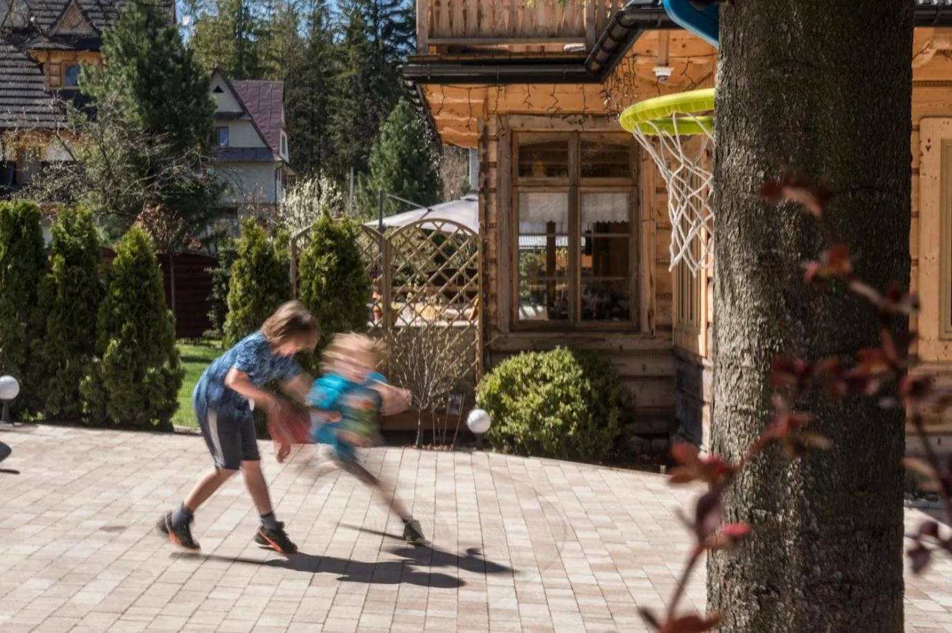 Activities in Stella doro