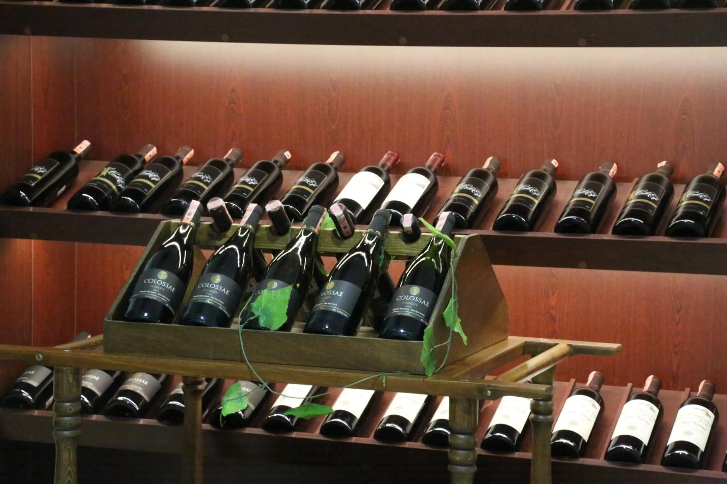 Drinks in Kumburgaz Blue World Hotel