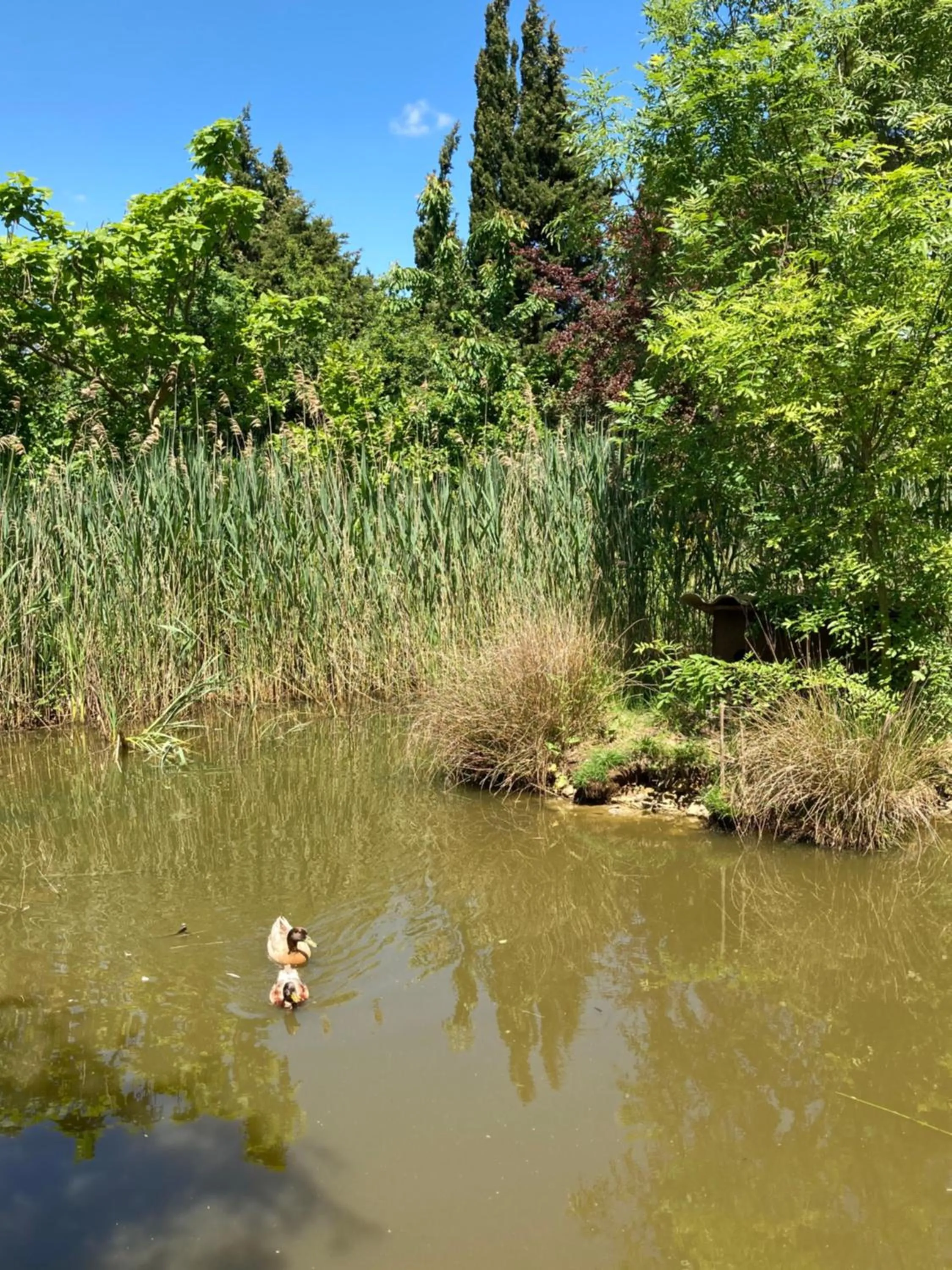Natural landscape in Domaine de Campras B&B