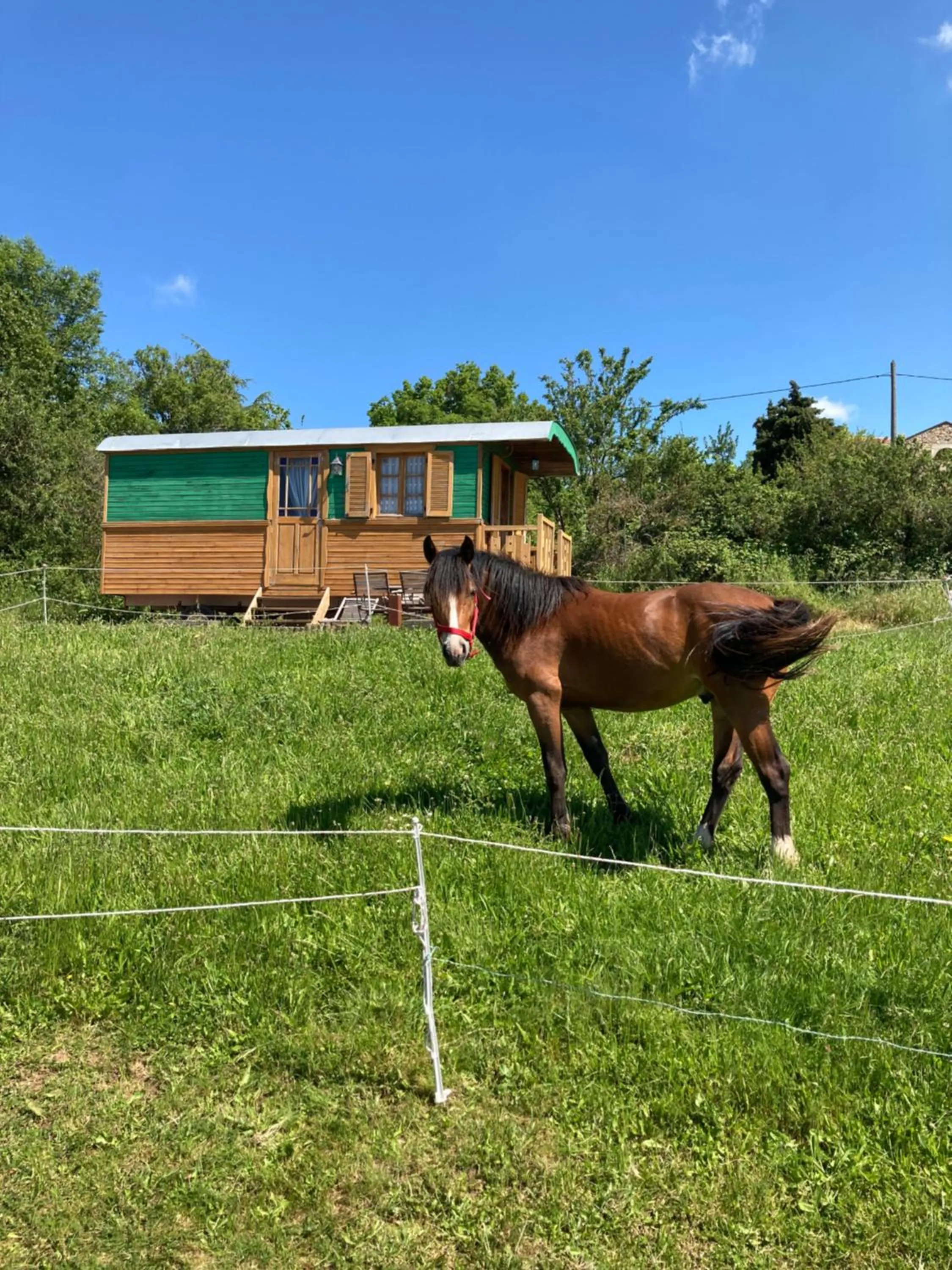 Garden in Domaine de Campras B&B