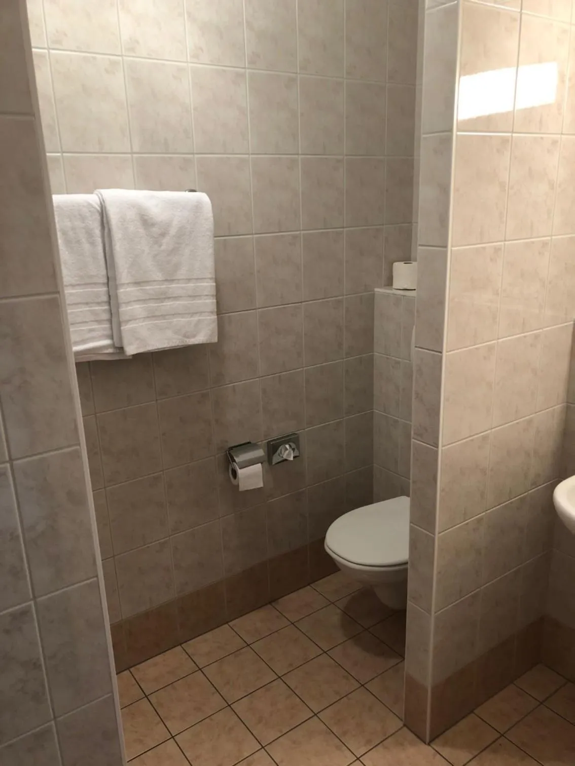 Toilet in Hotel Les Rives Du Doubs