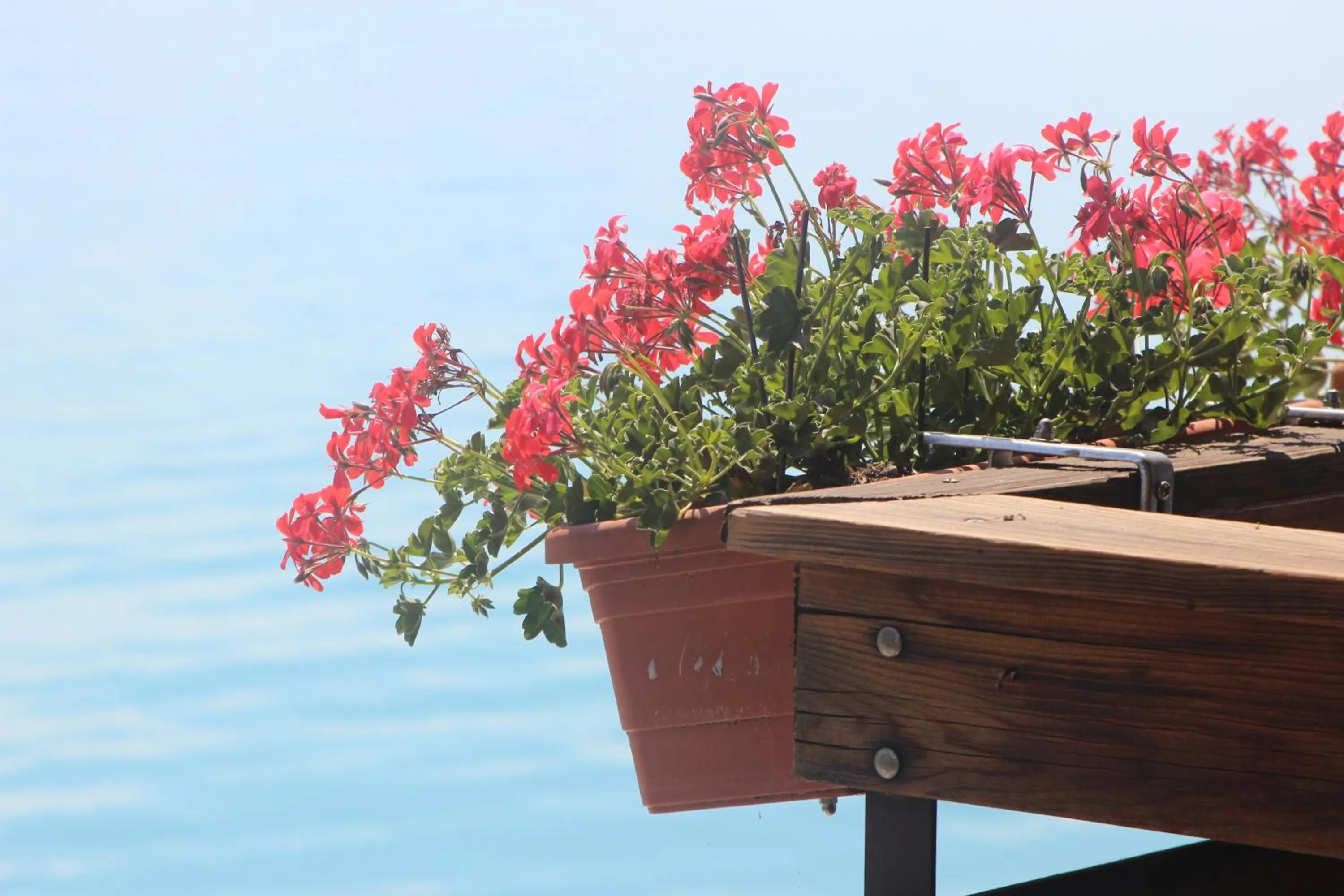 Decorative detail in Hotel Brienzerburli