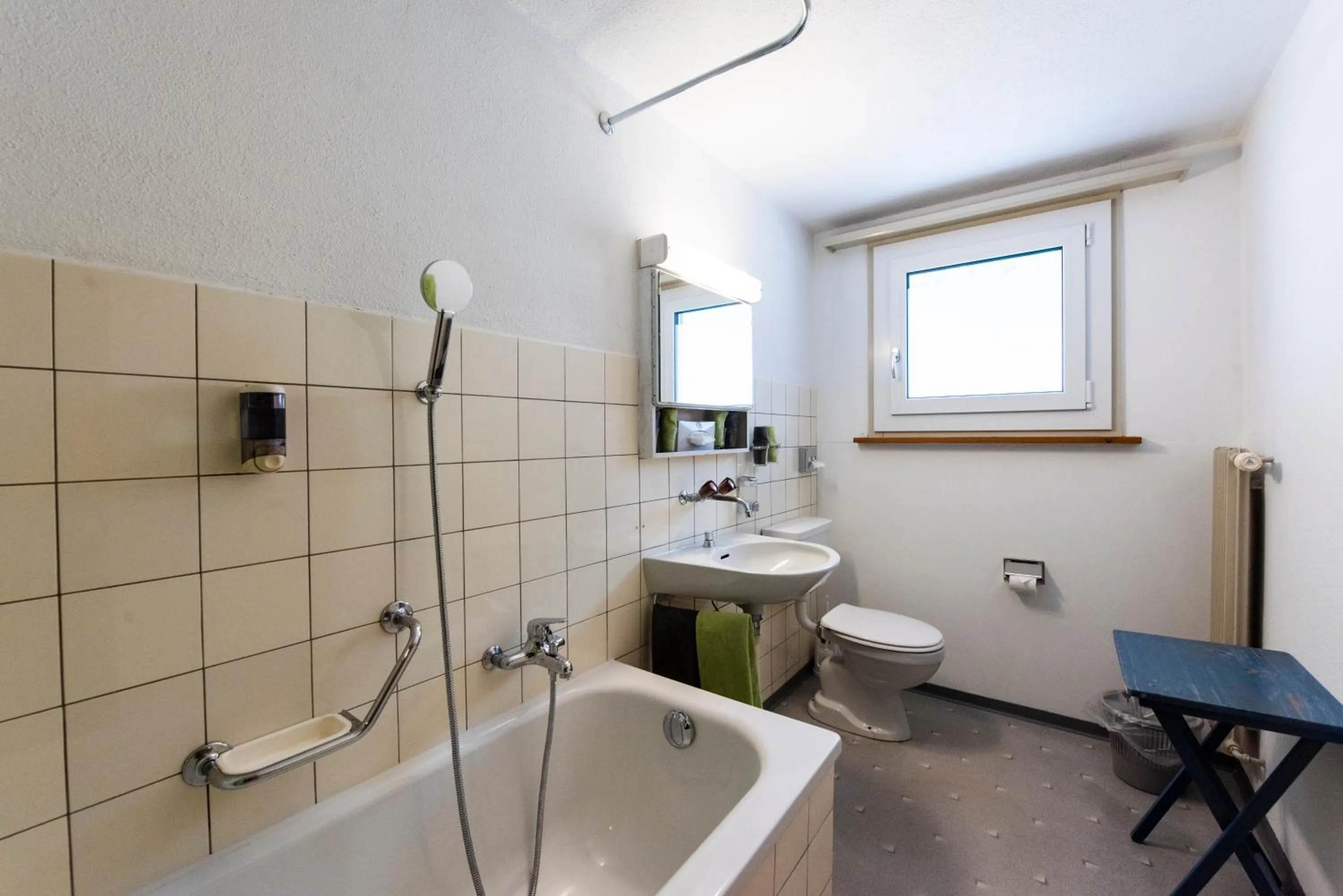 Bathroom in Hotel Brienzerburli