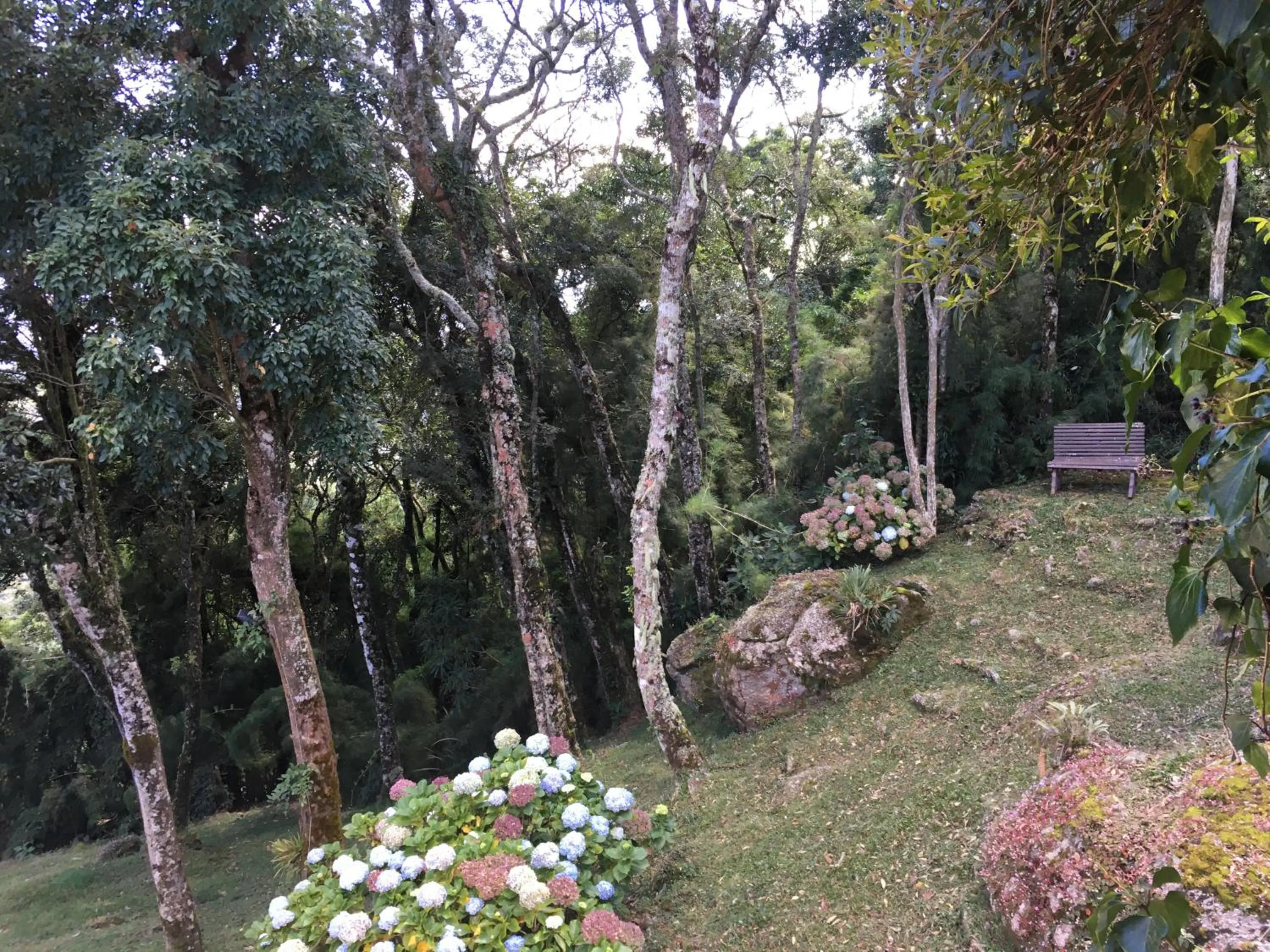 Garden in Pousada VillaSerrana