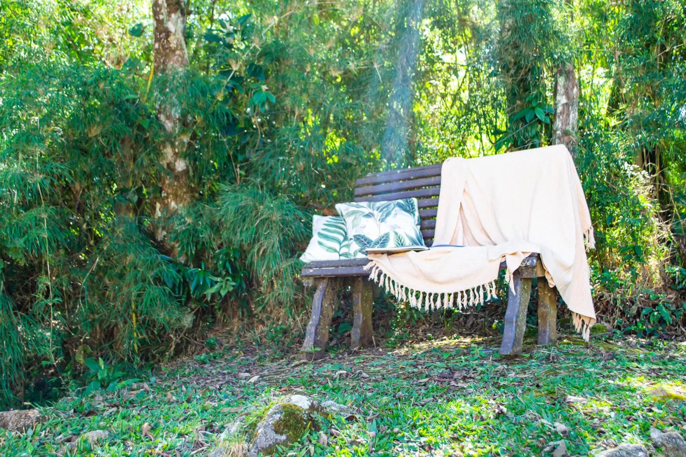 Garden in Pousada VillaSerrana