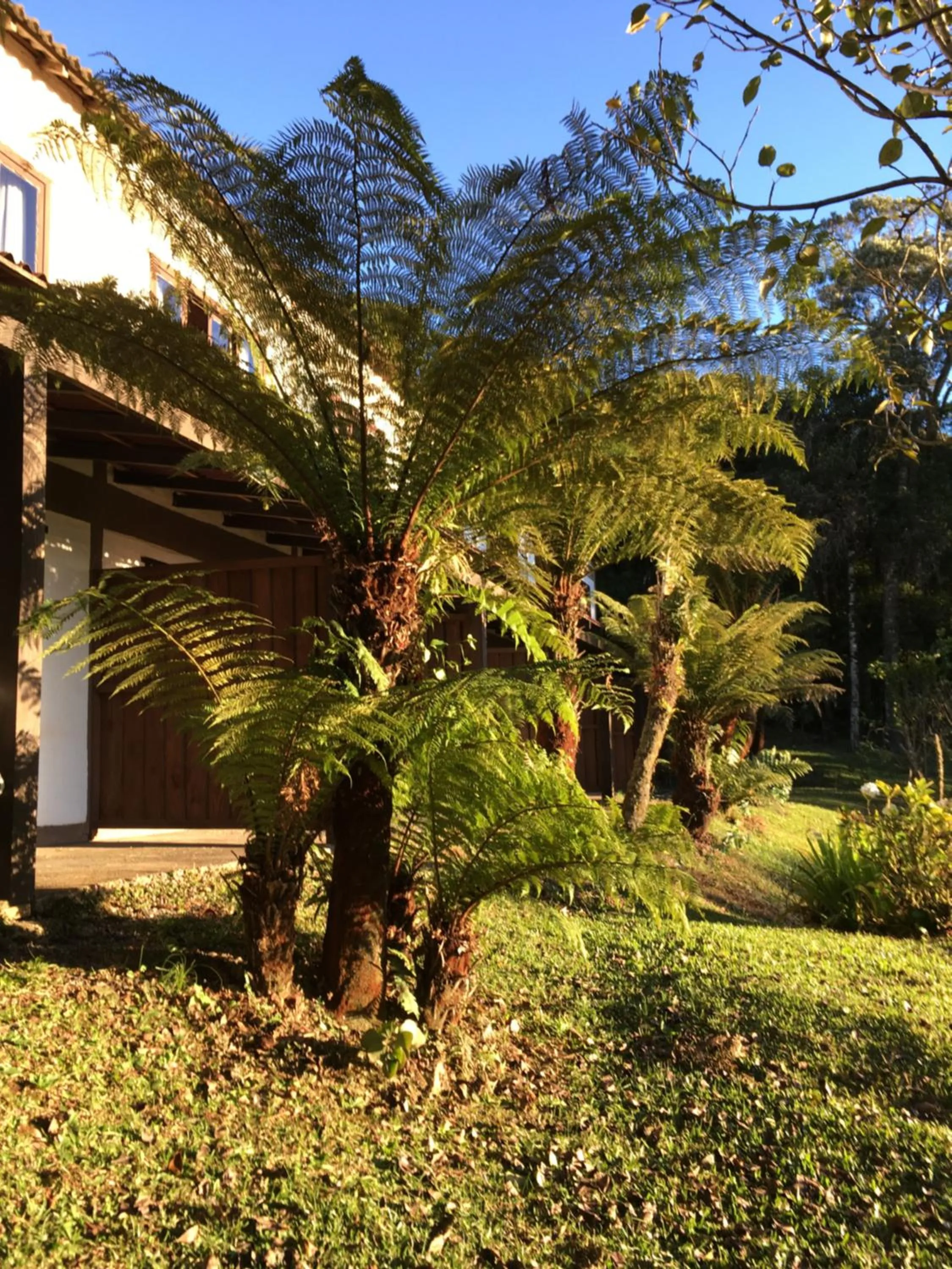Natural landscape in Pousada VillaSerrana