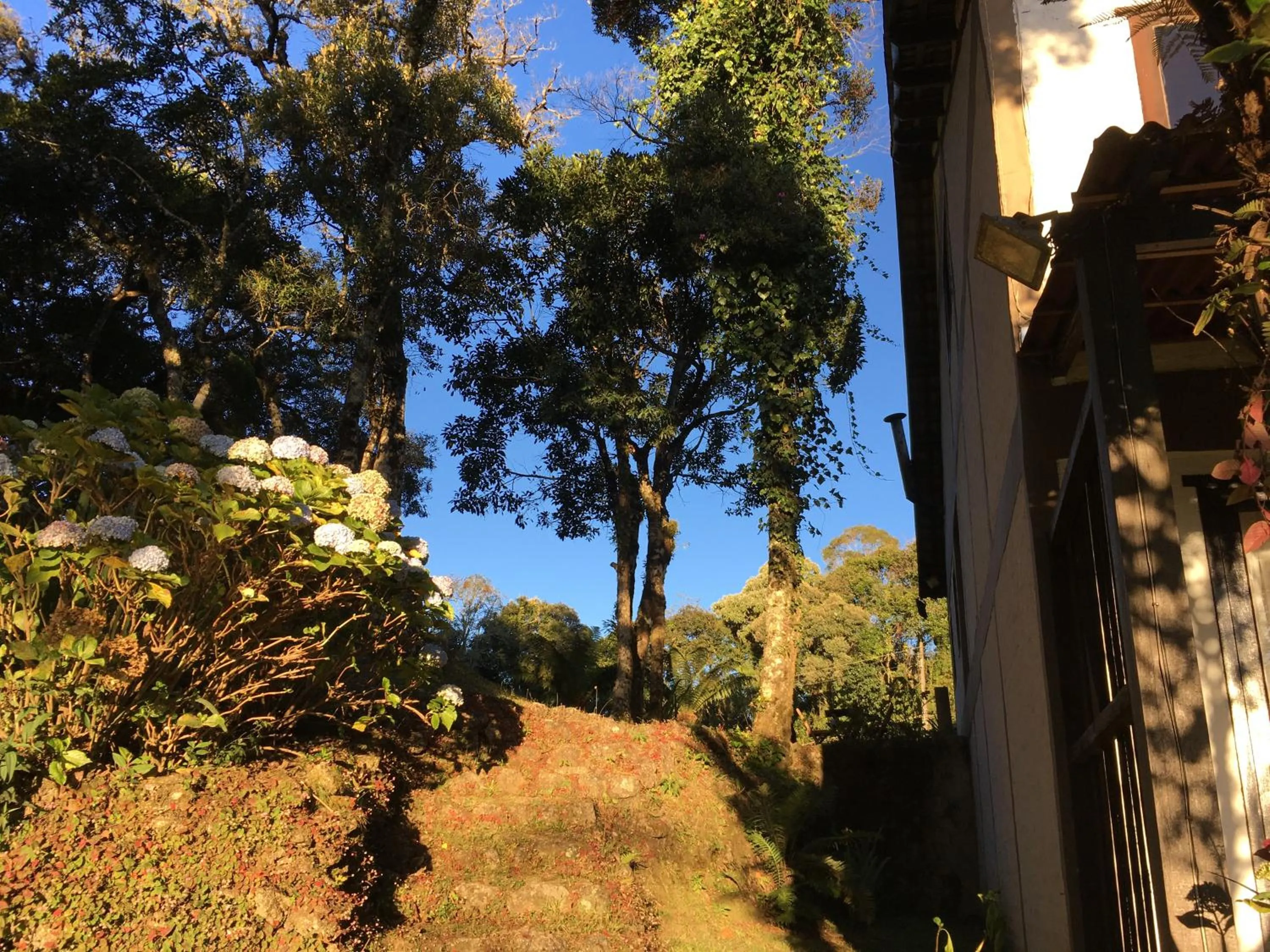 Garden in Pousada VillaSerrana
