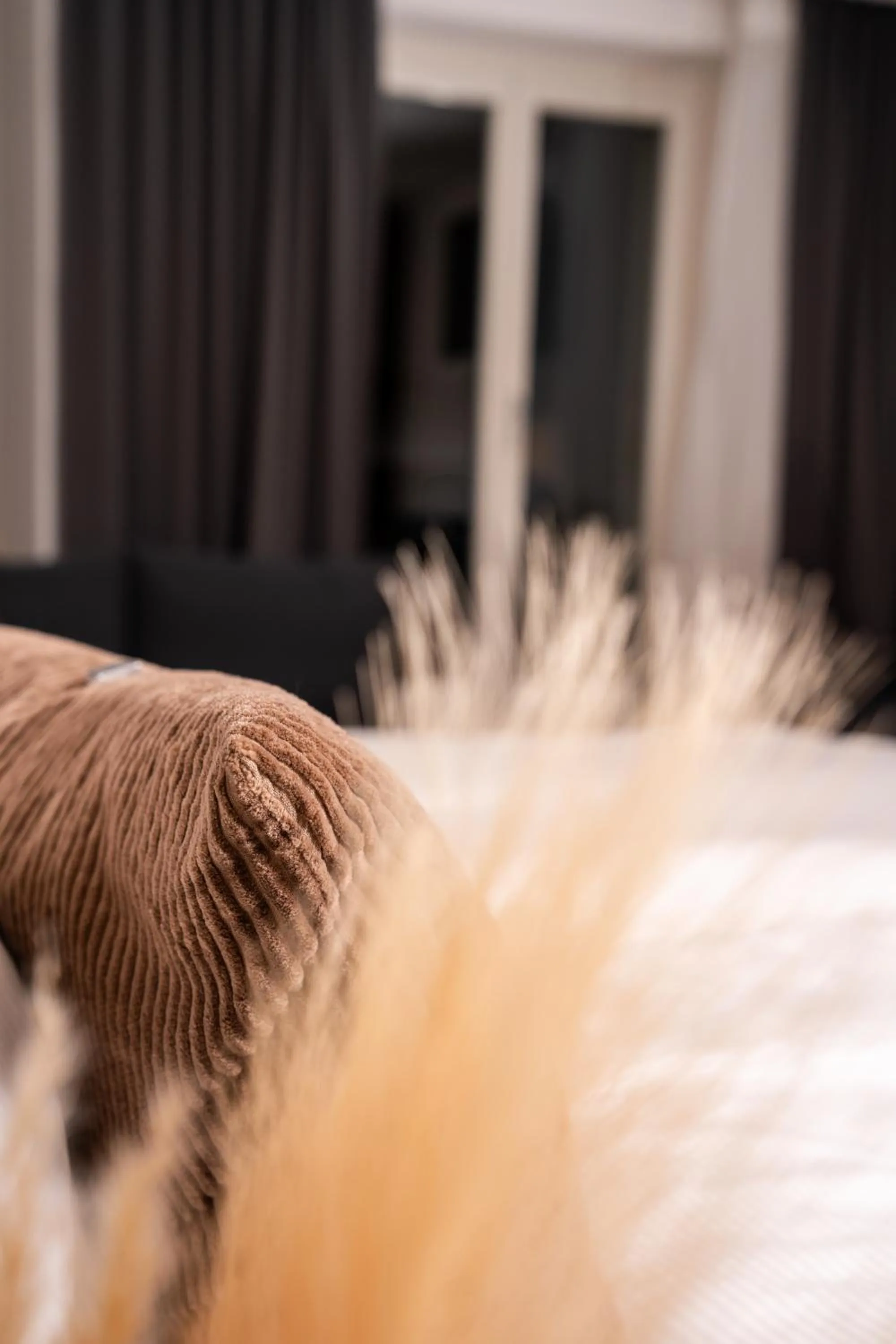 Photo of the whole room, Bed in Hotel Baslertor