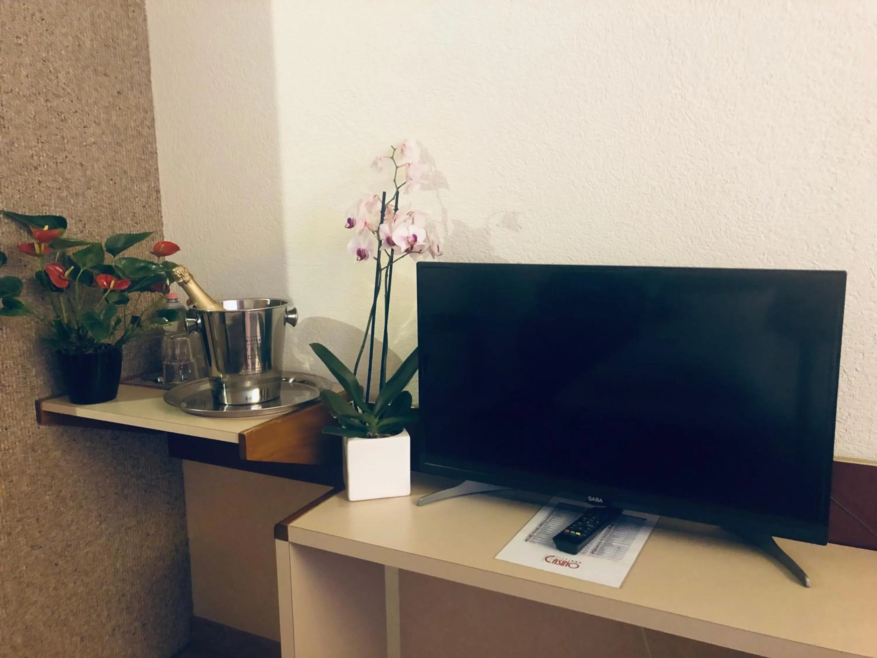 TV and multimedia in Hotel Casino