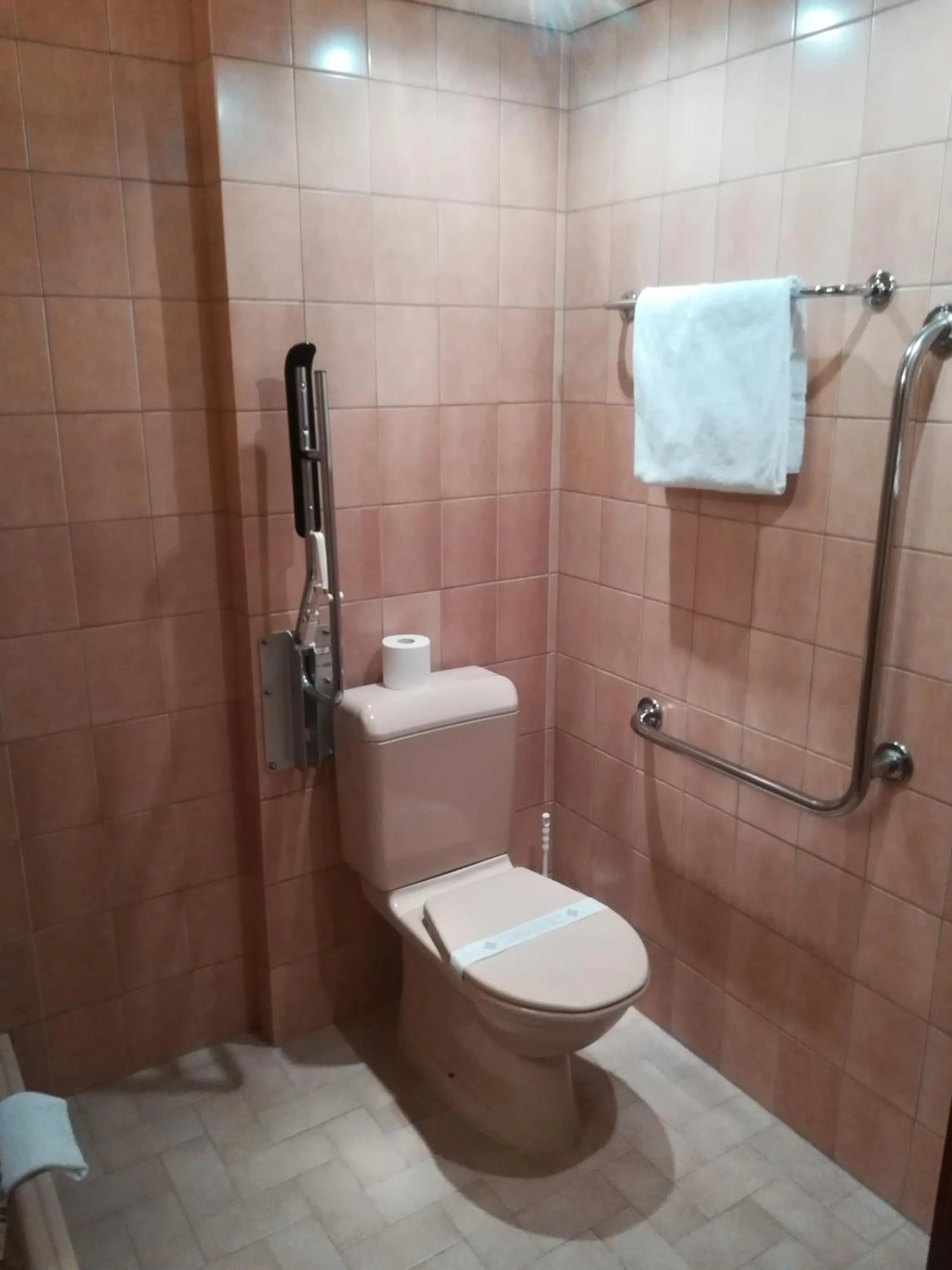 Toilet in Hôtel des Trois Rois