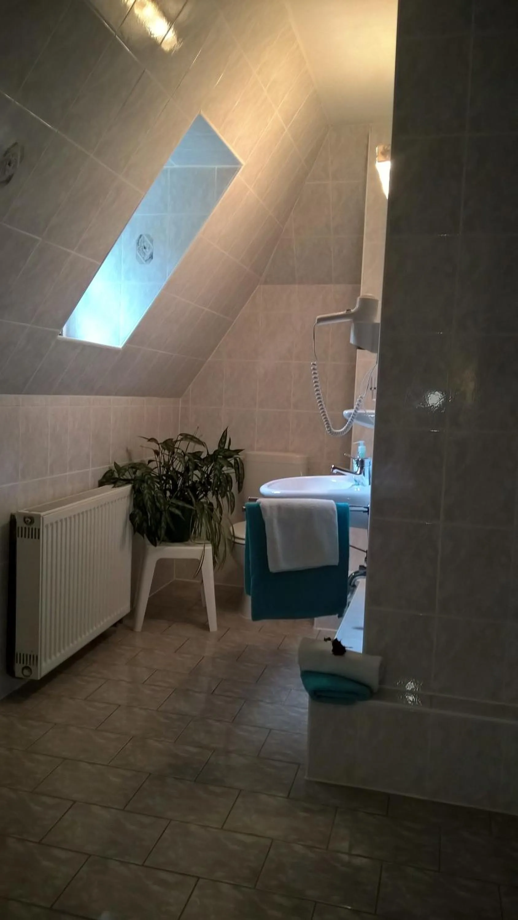 Bathroom in Villa Unger