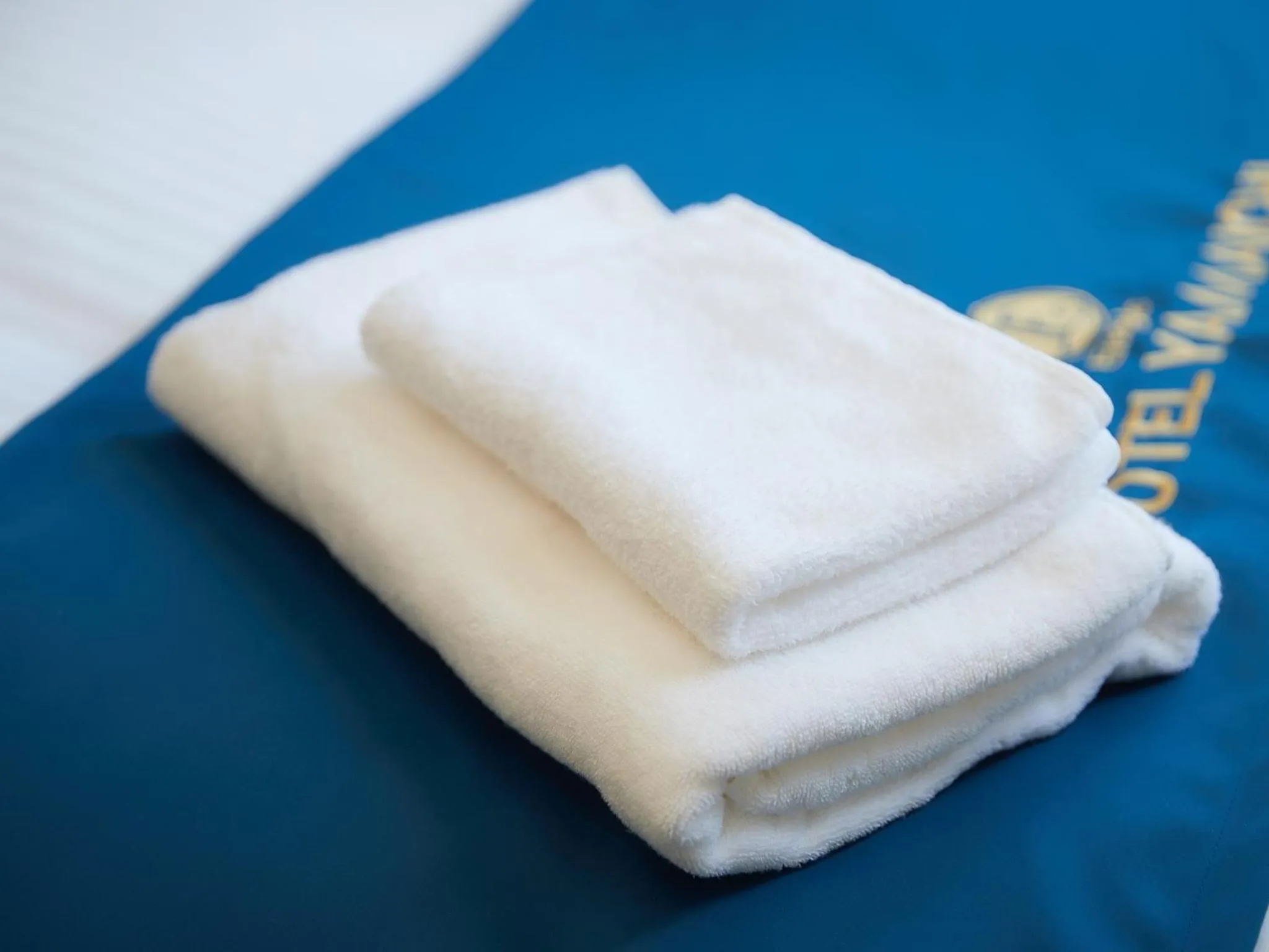 Photo of the whole room in エナジックホテル山市 Enagic HOTEL YAMAICHI