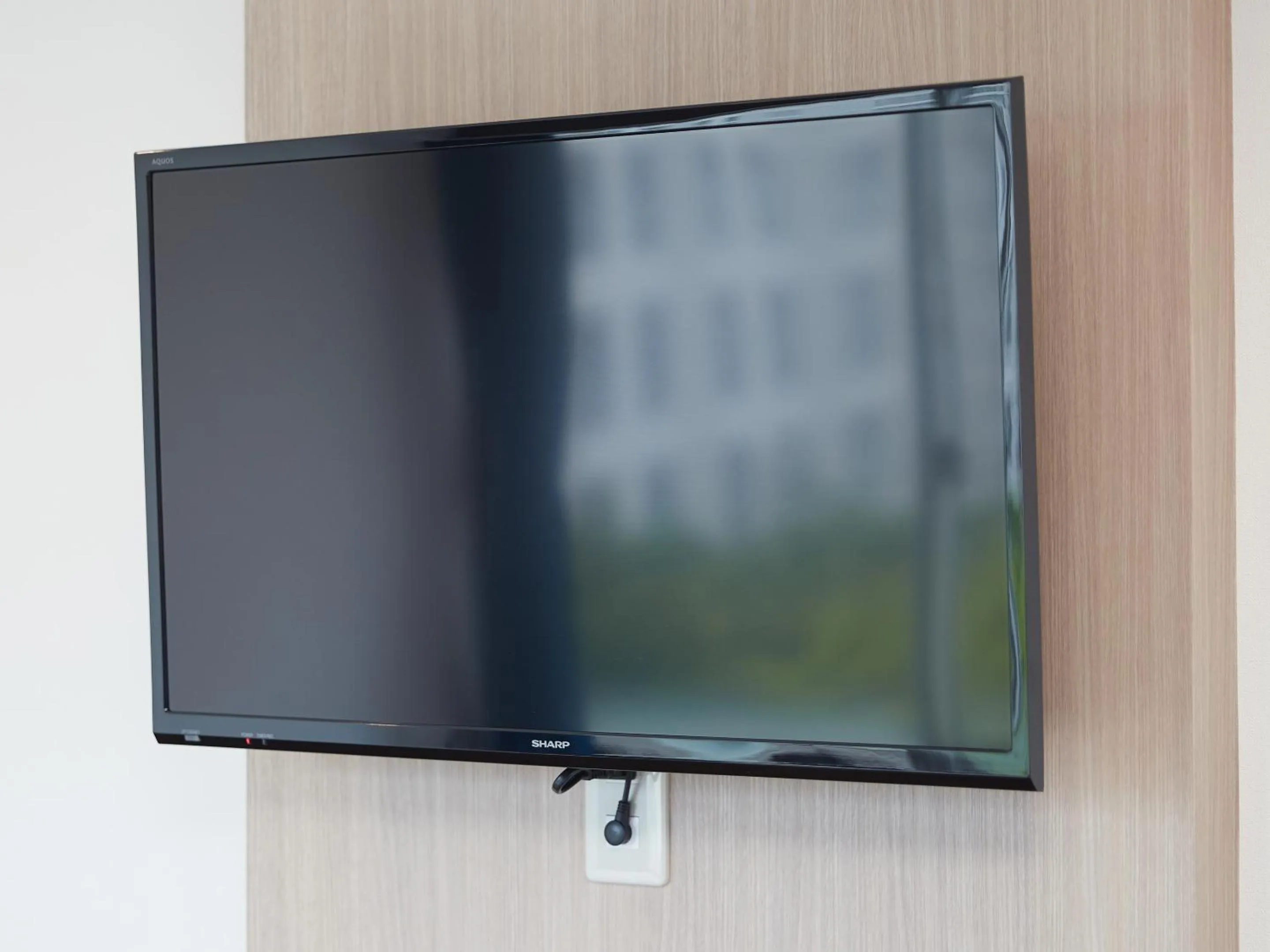 TV and multimedia in エナジックホテル山市 Enagic HOTEL YAMAICHI