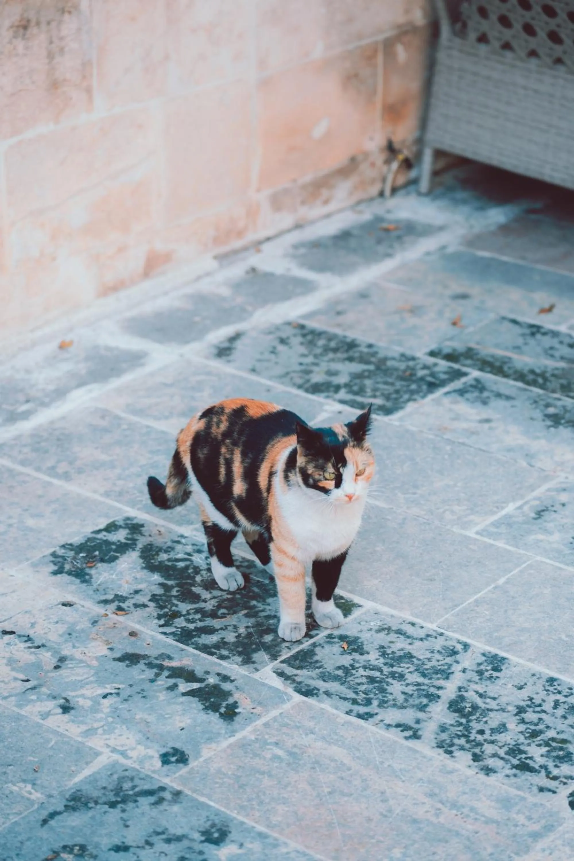 Narlı Ev Butik Otel