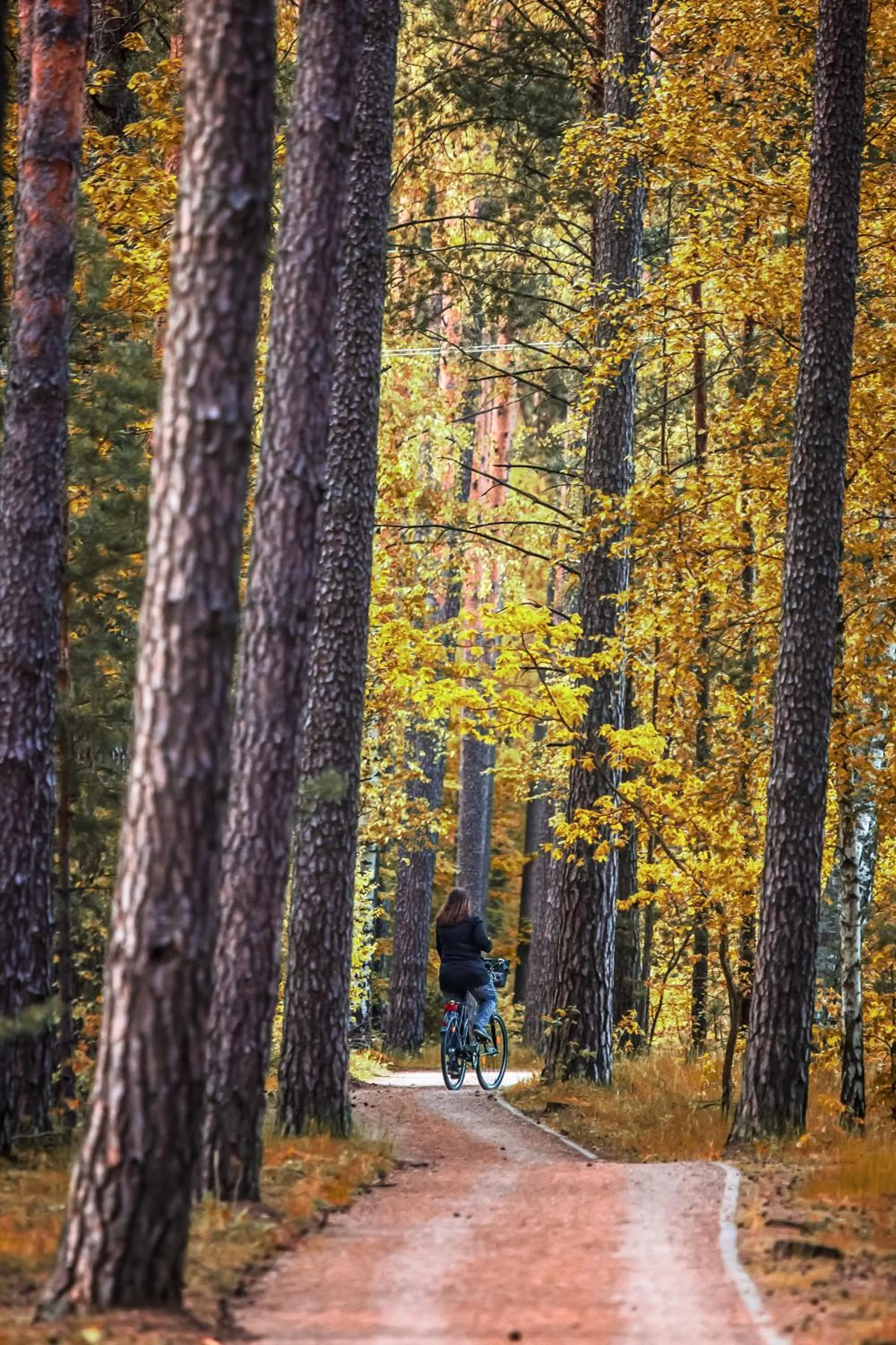 Natural landscape in OTTON-Charzykowy Bed&Restaurant