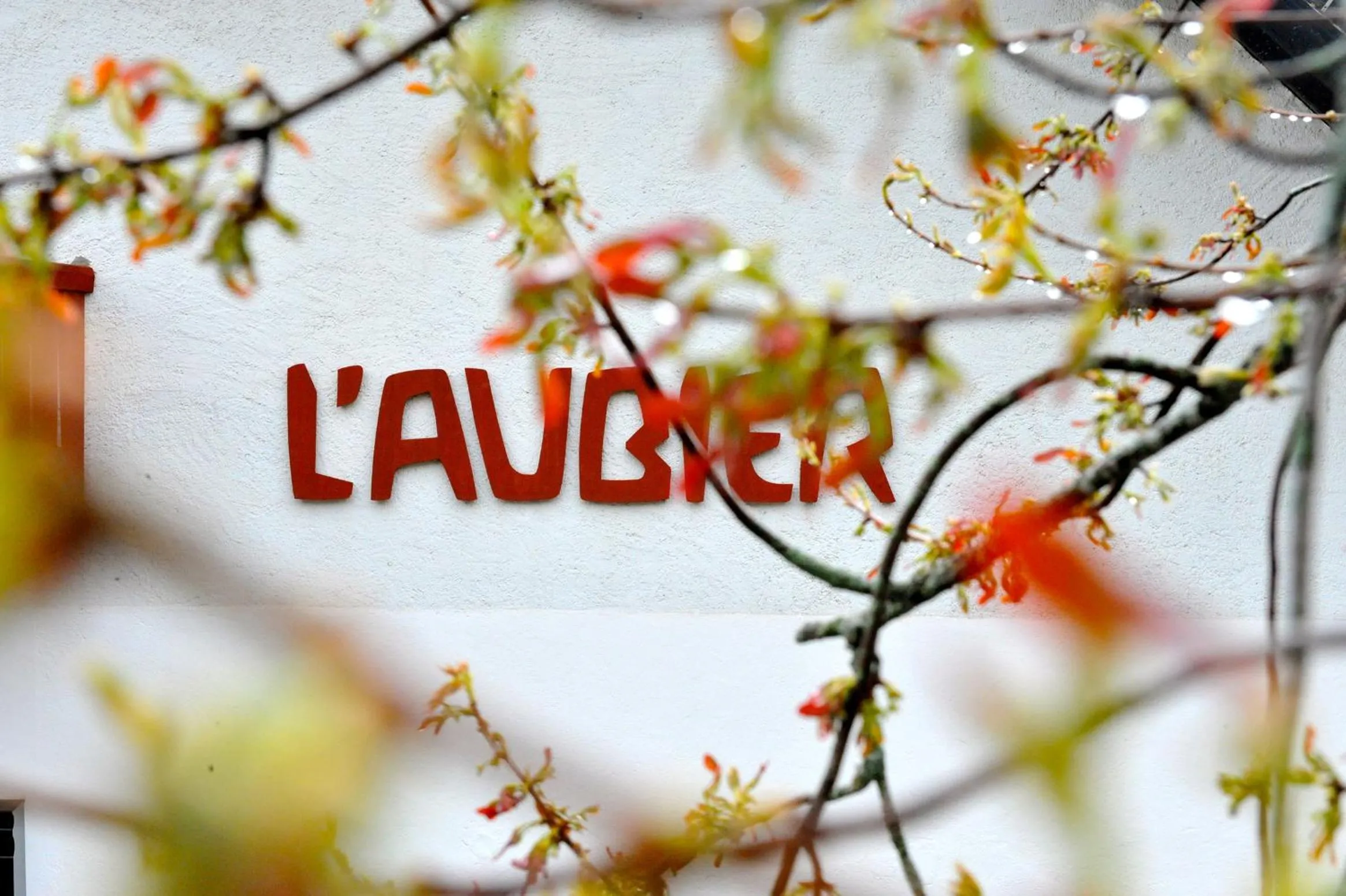 Property logo or sign in EcoHotel L’Aubier