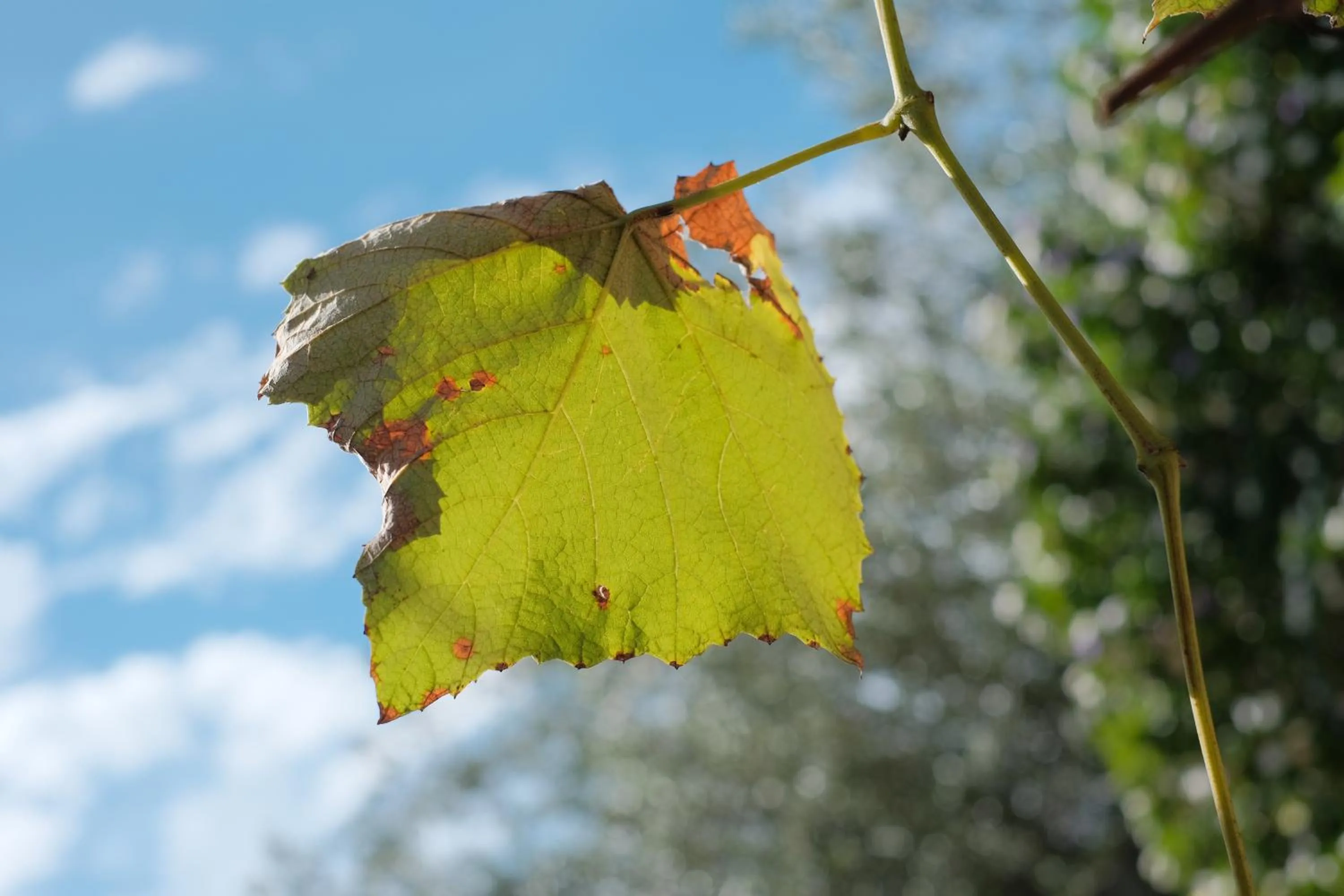 The Table Guest House