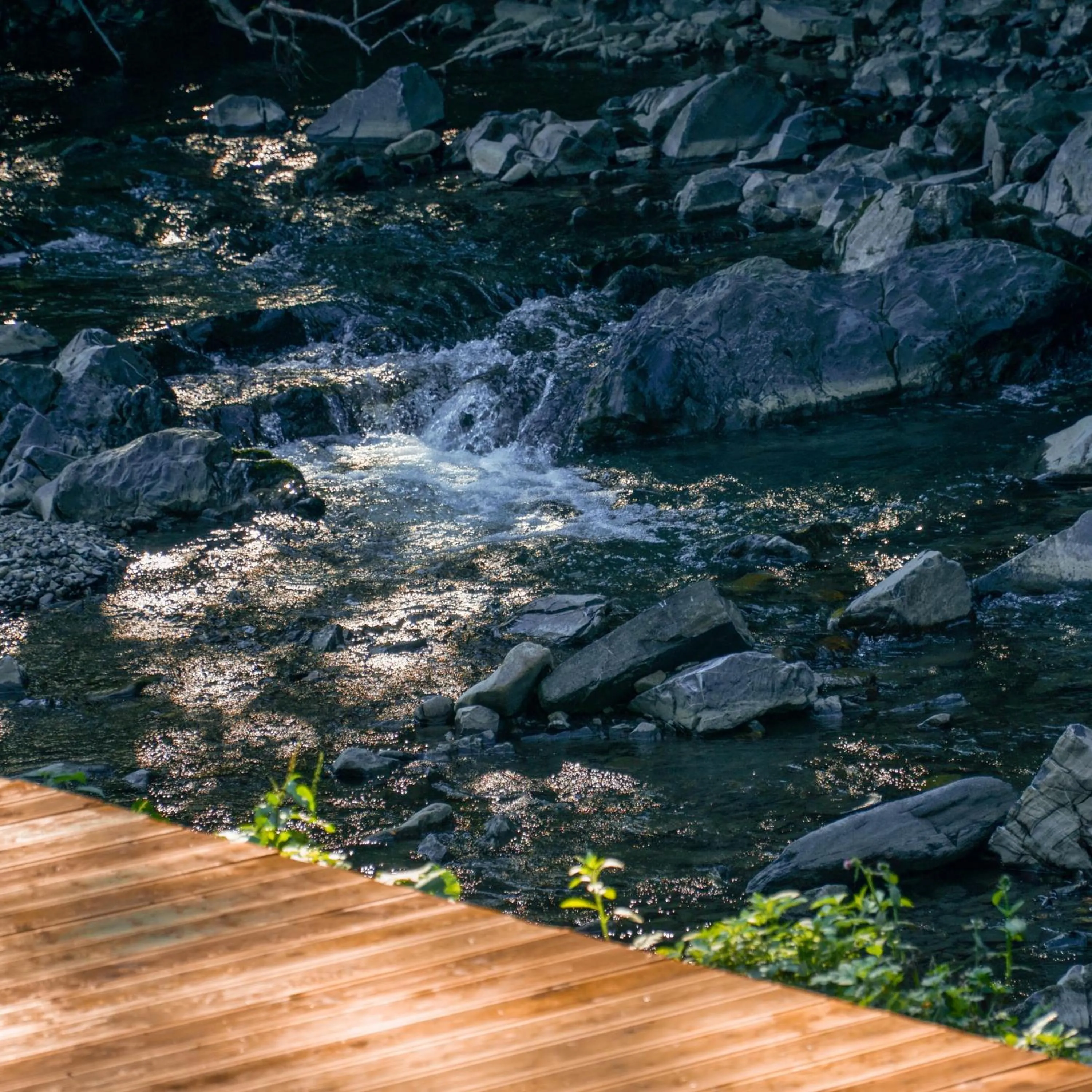 Natural landscape in Novosiele Lifestyle Apartments - nad górską rzeką - Strefa relaksu sauna jacuzzi - Bieszczady