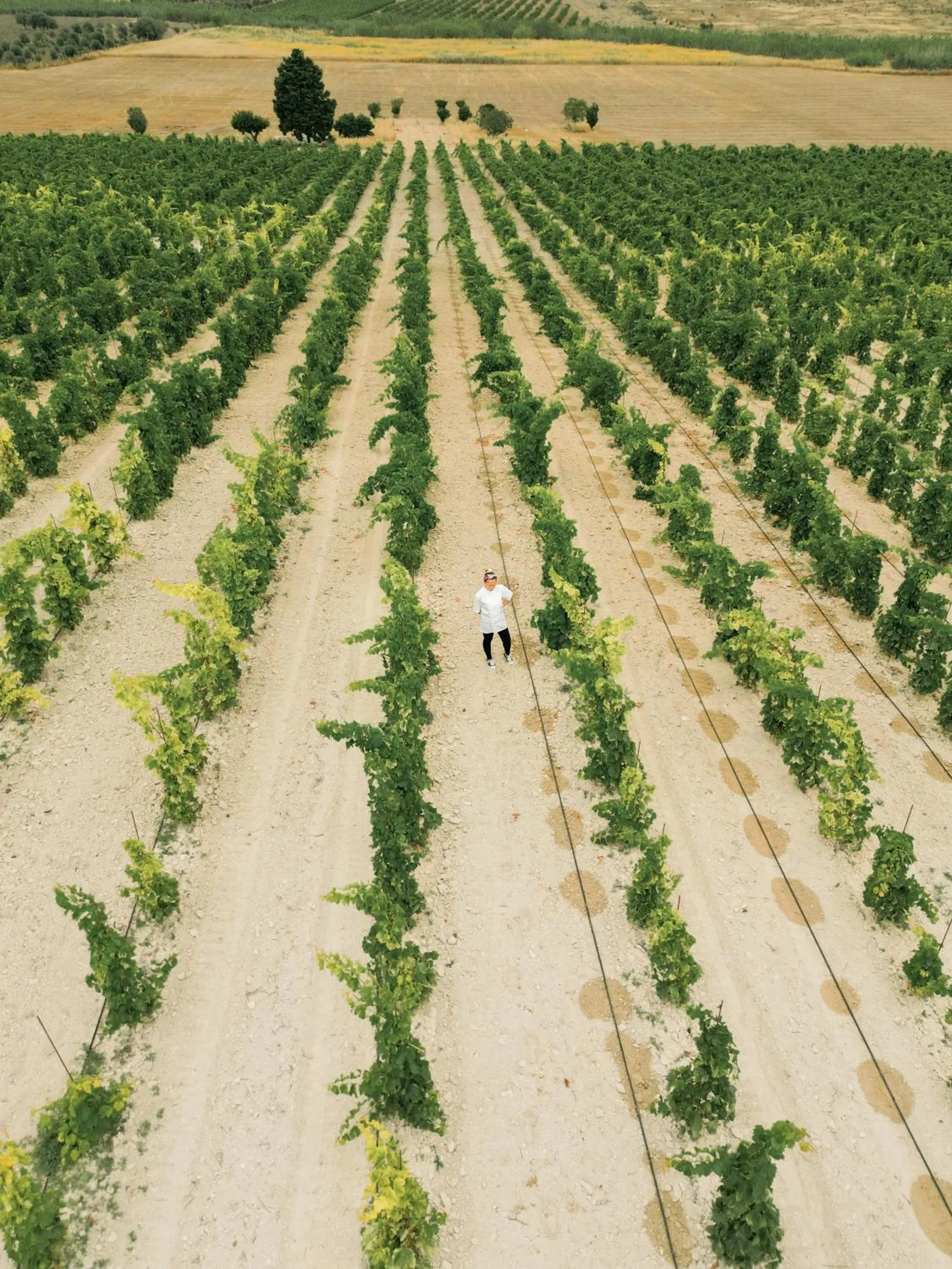 Spring in Kapuhala Sicily