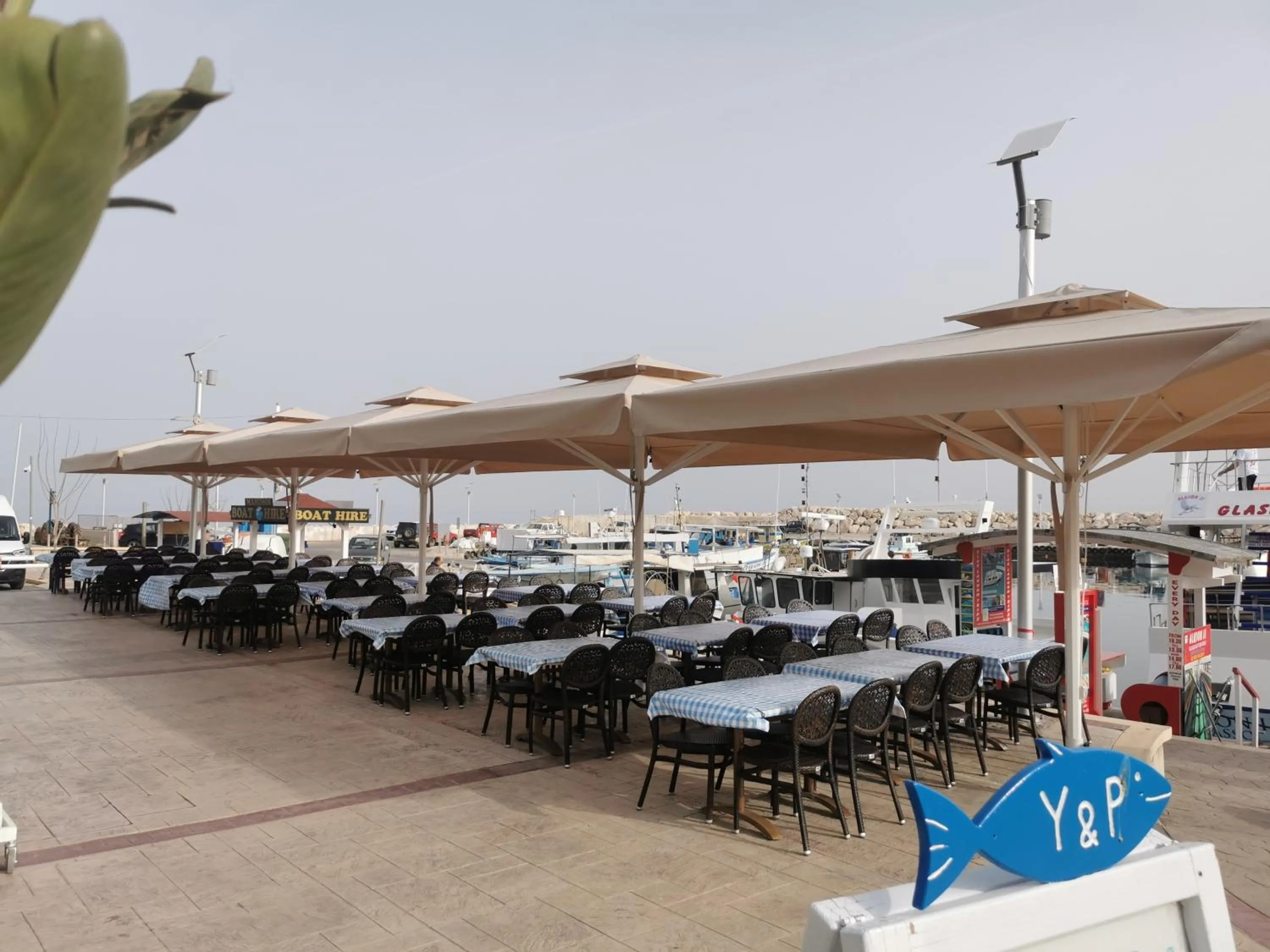 Restaurant/places to eat in Y & P LATCHI HOTEL