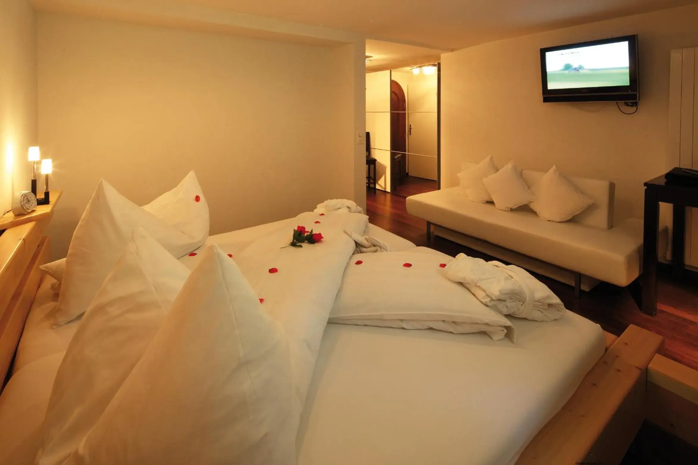 Standard Double Room - single occupancy in Wellness Spa Pirmin Zurbriggen Standard Double Room - single occupancy in Wellness Spa Pirmin Zurbriggen