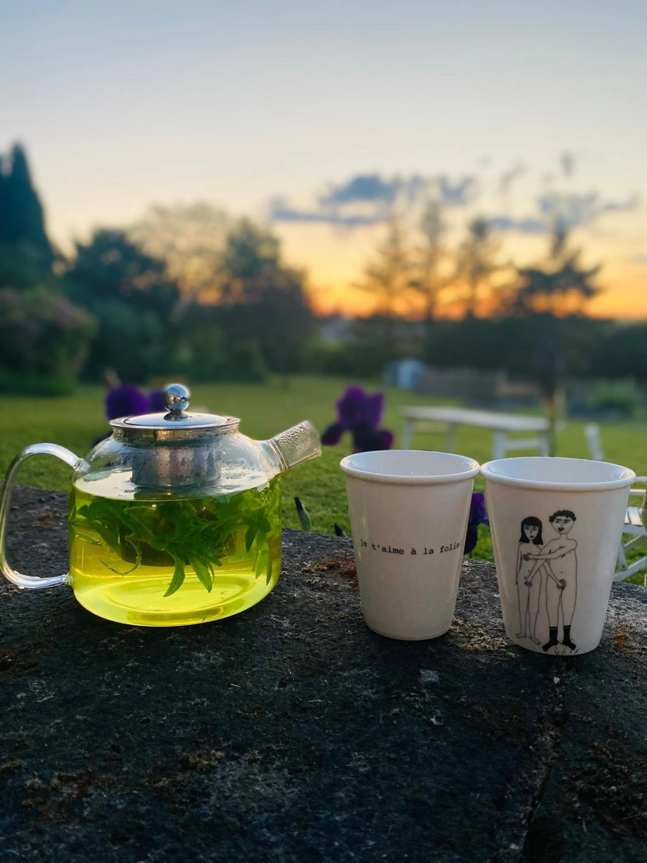 L'écrin de verdure GITE VERVEINE