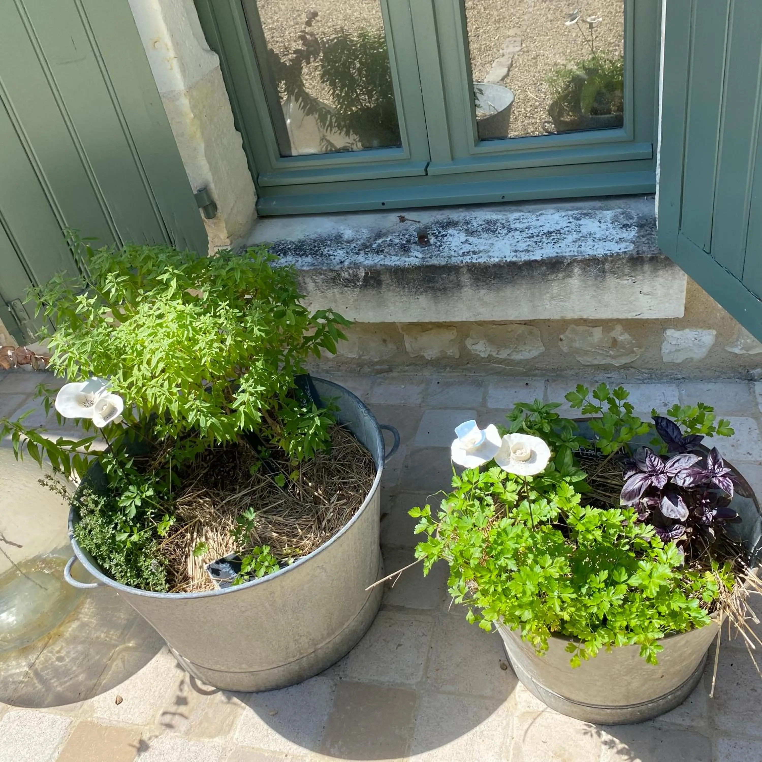 L'écrin de verdure GITE VERVEINE