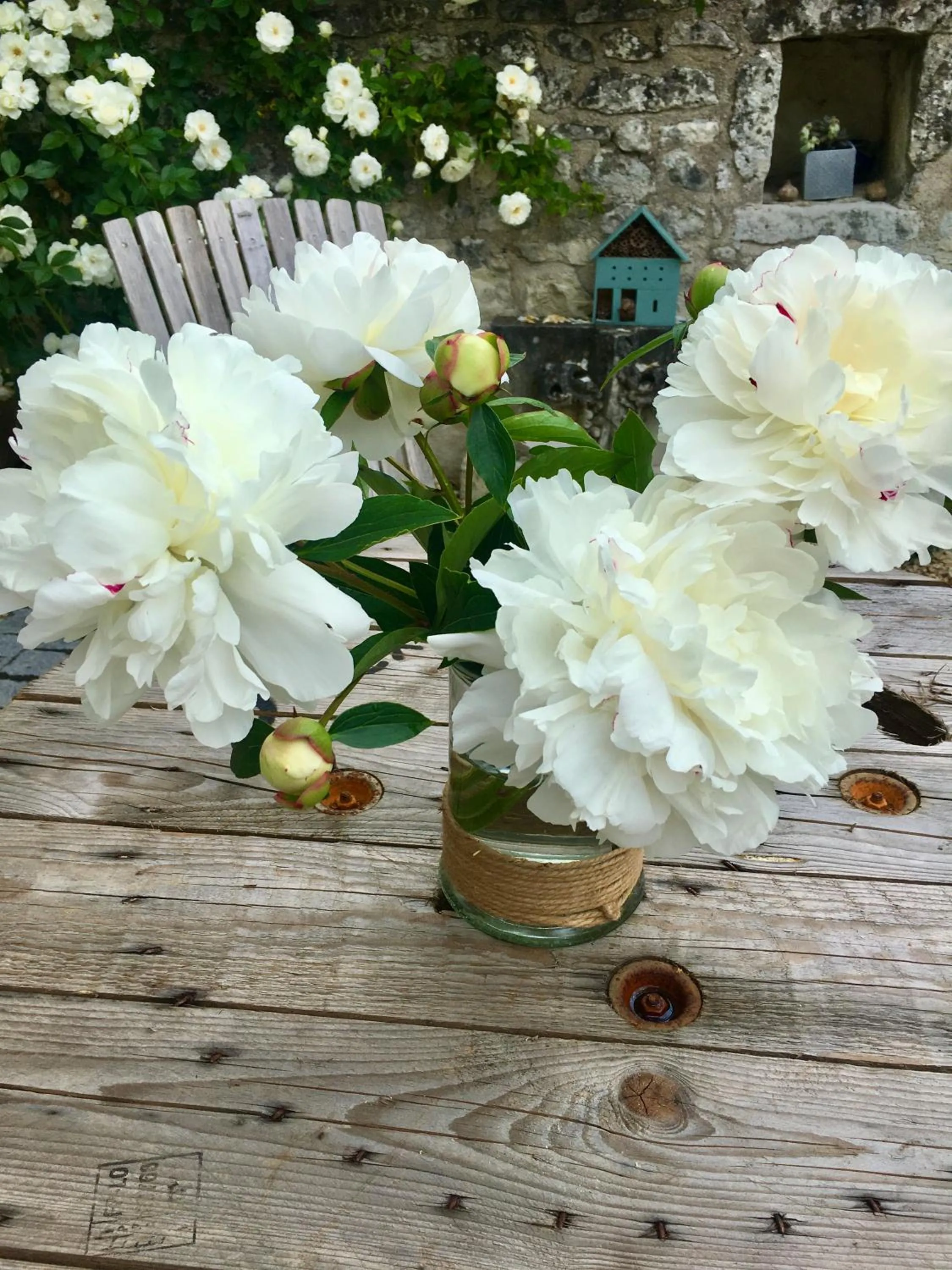 L'écrin de verdure GITE VERVEINE