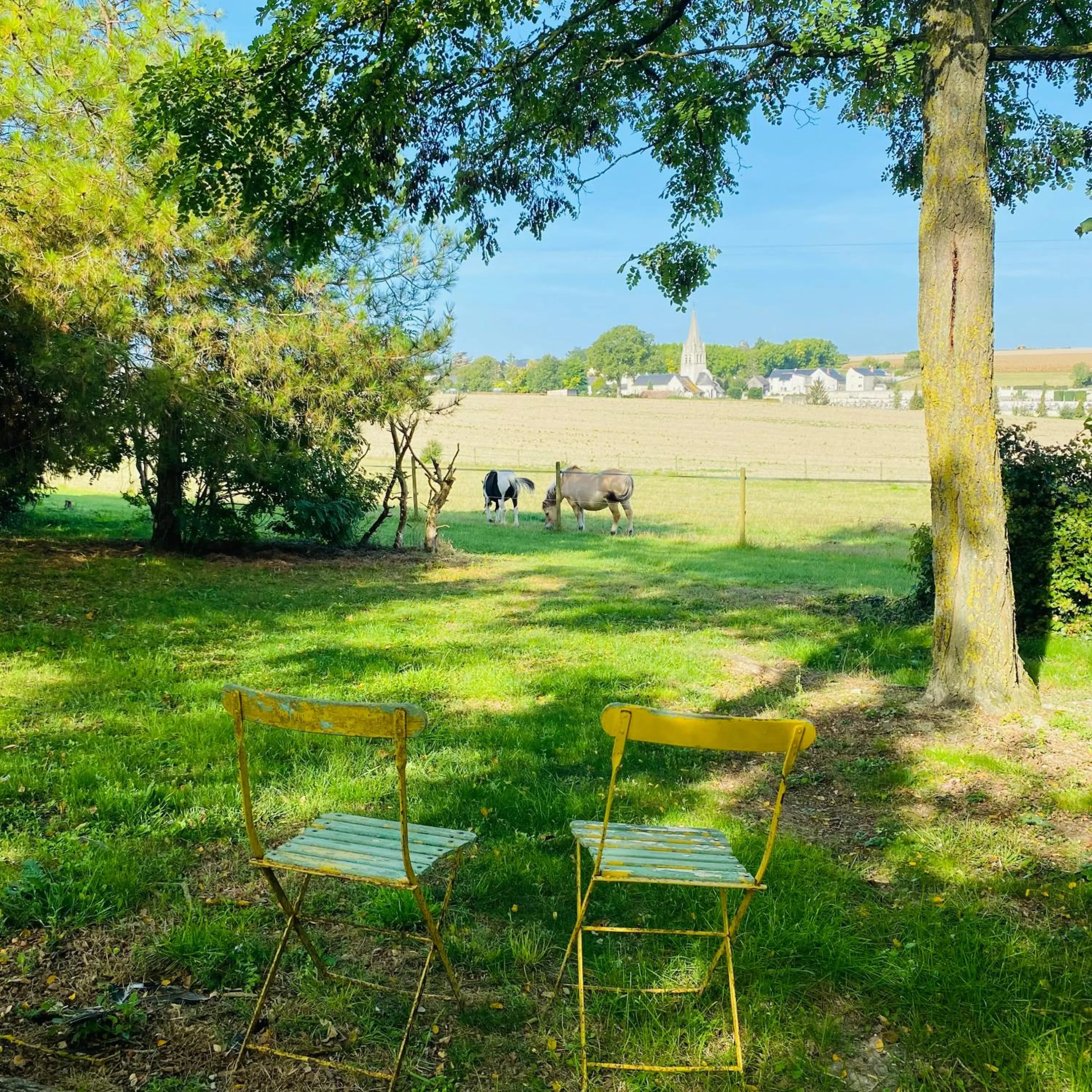 Garden in L'écrin de verdure GITE VERVEINE