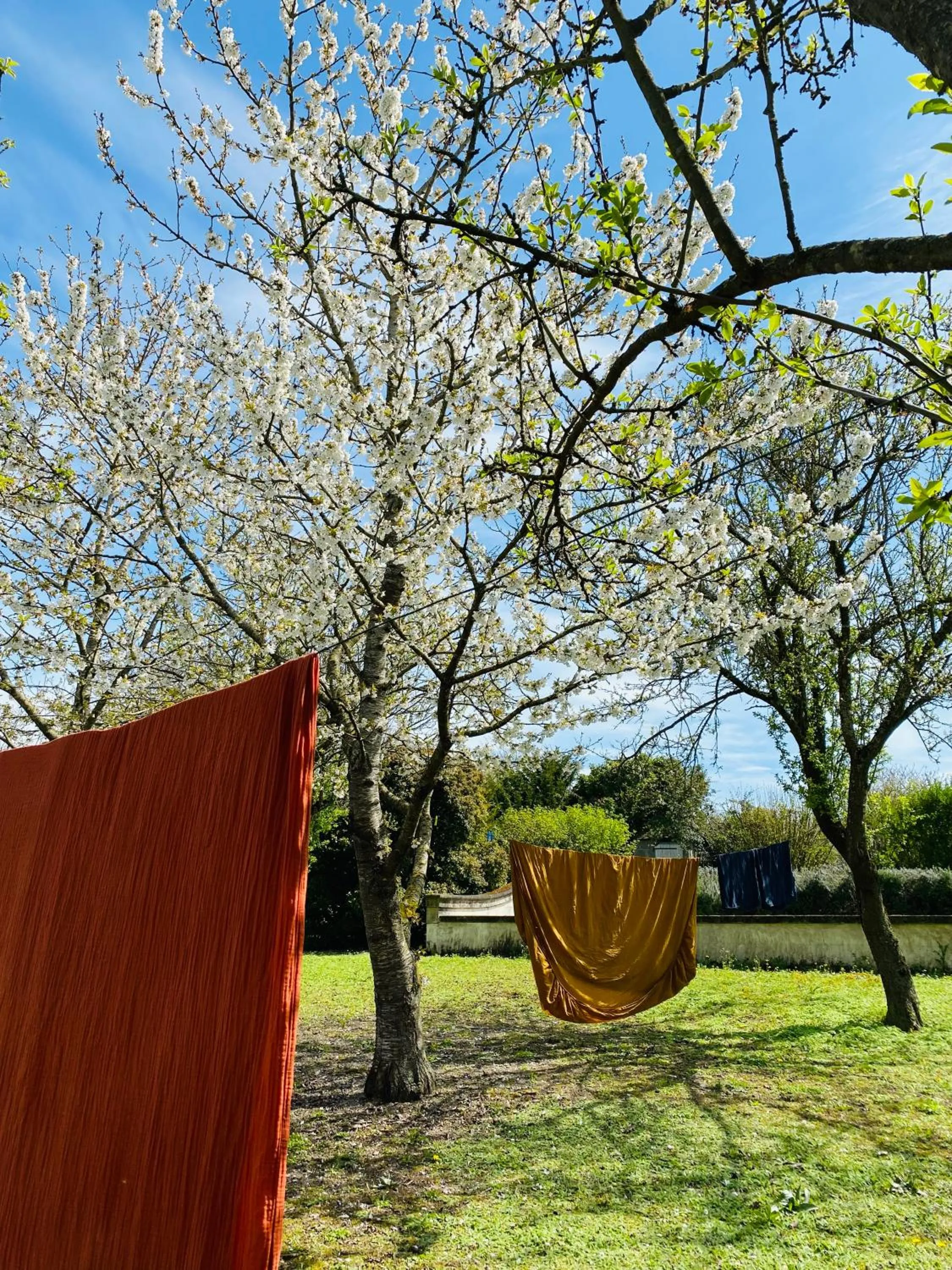 L'écrin de verdure GITE VERVEINE