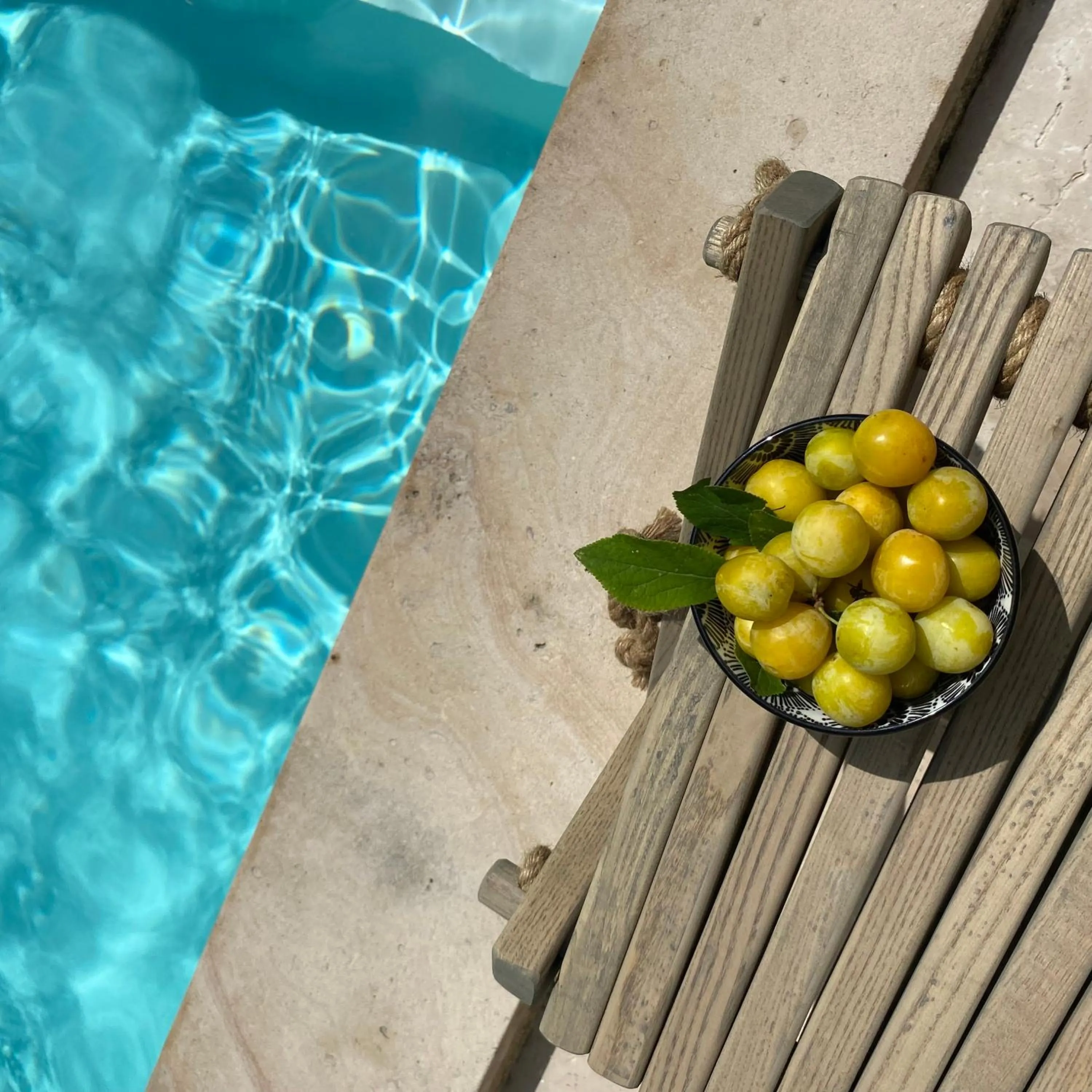 L'écrin de verdure GITE VERVEINE