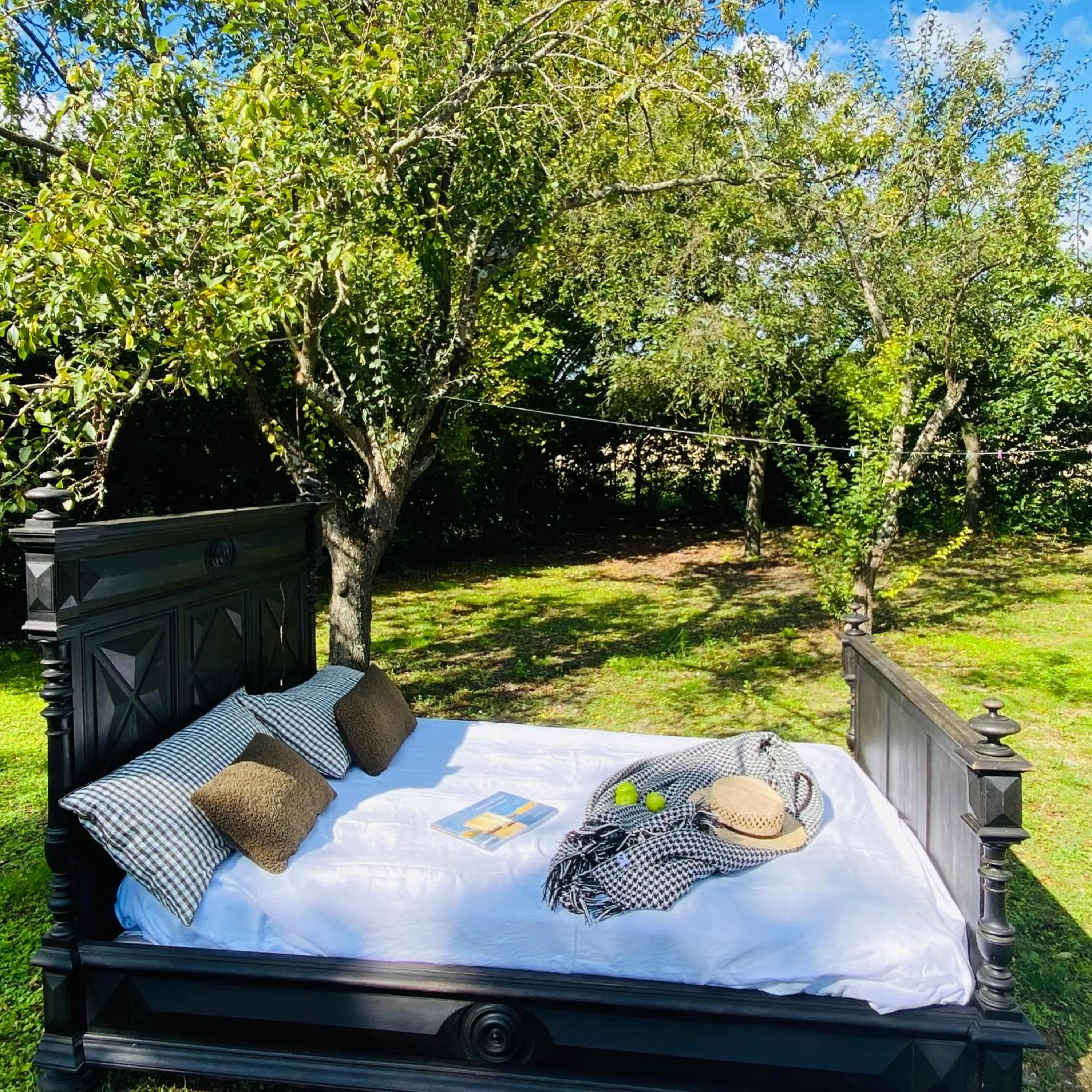 L'écrin de verdure GITE VERVEINE