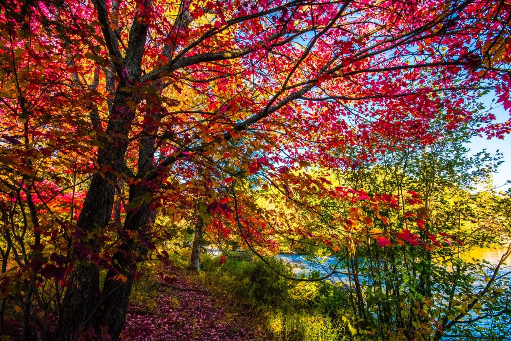 Oberge Inn Val-David