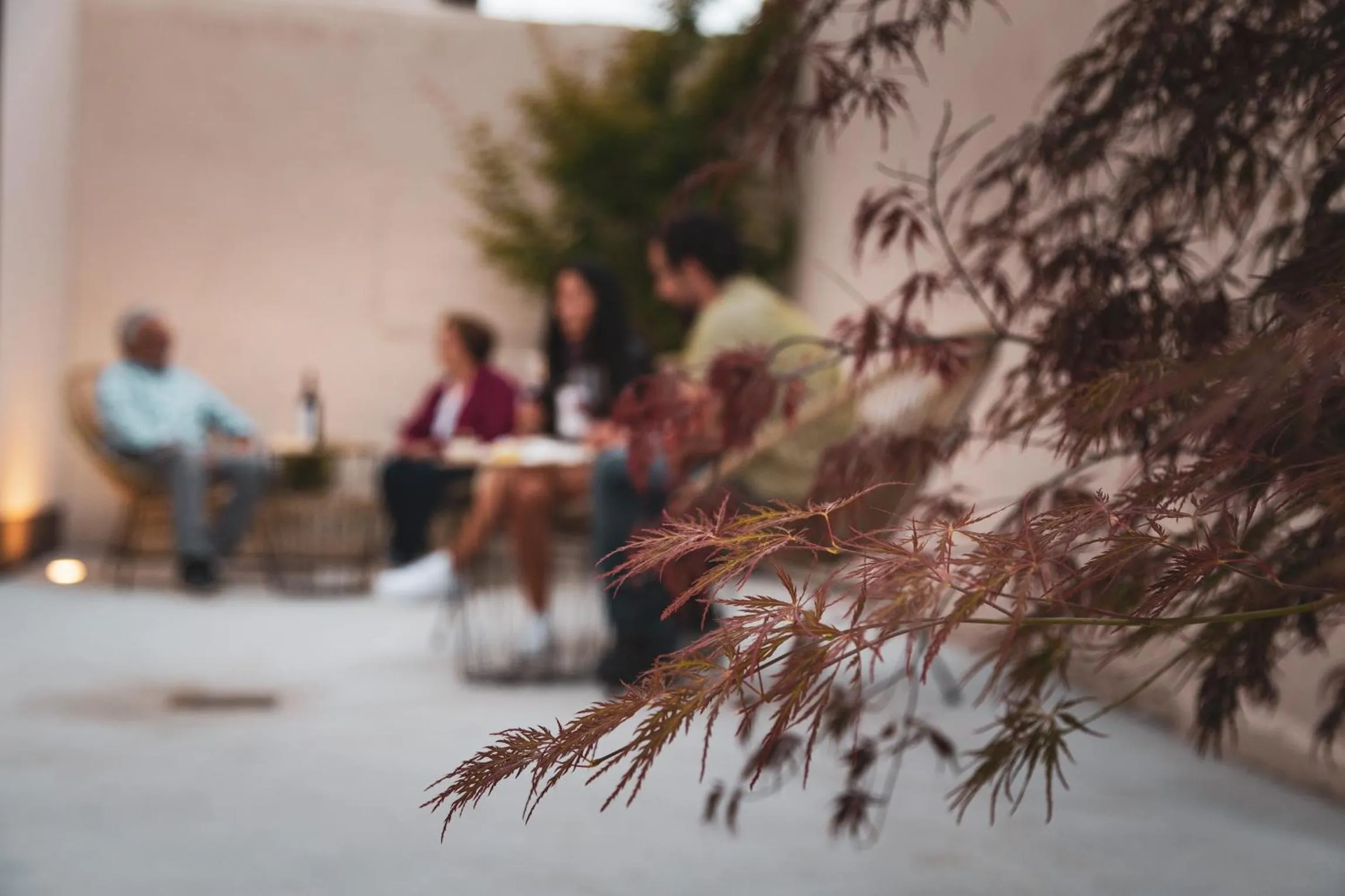 People in Hotel rural La Tejera