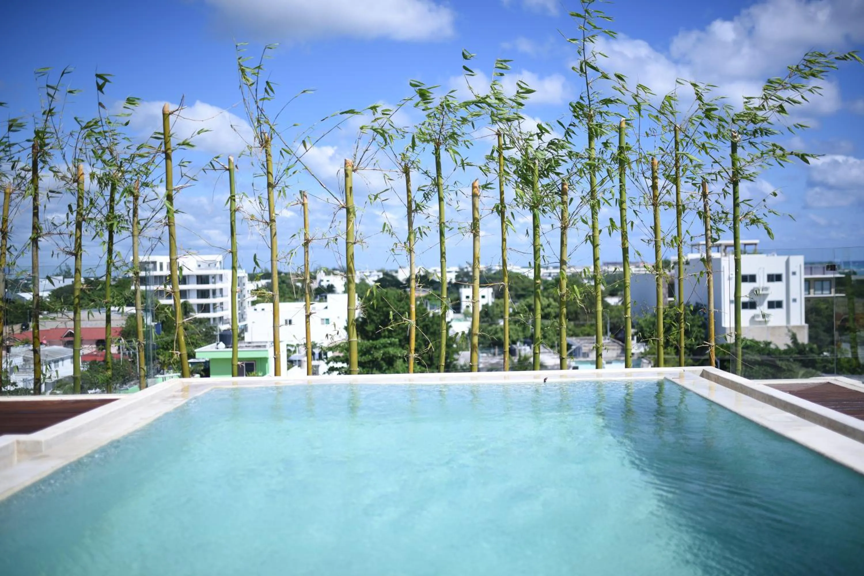 Swimming pool in Polo 54 Apartments Ideal for families and couples