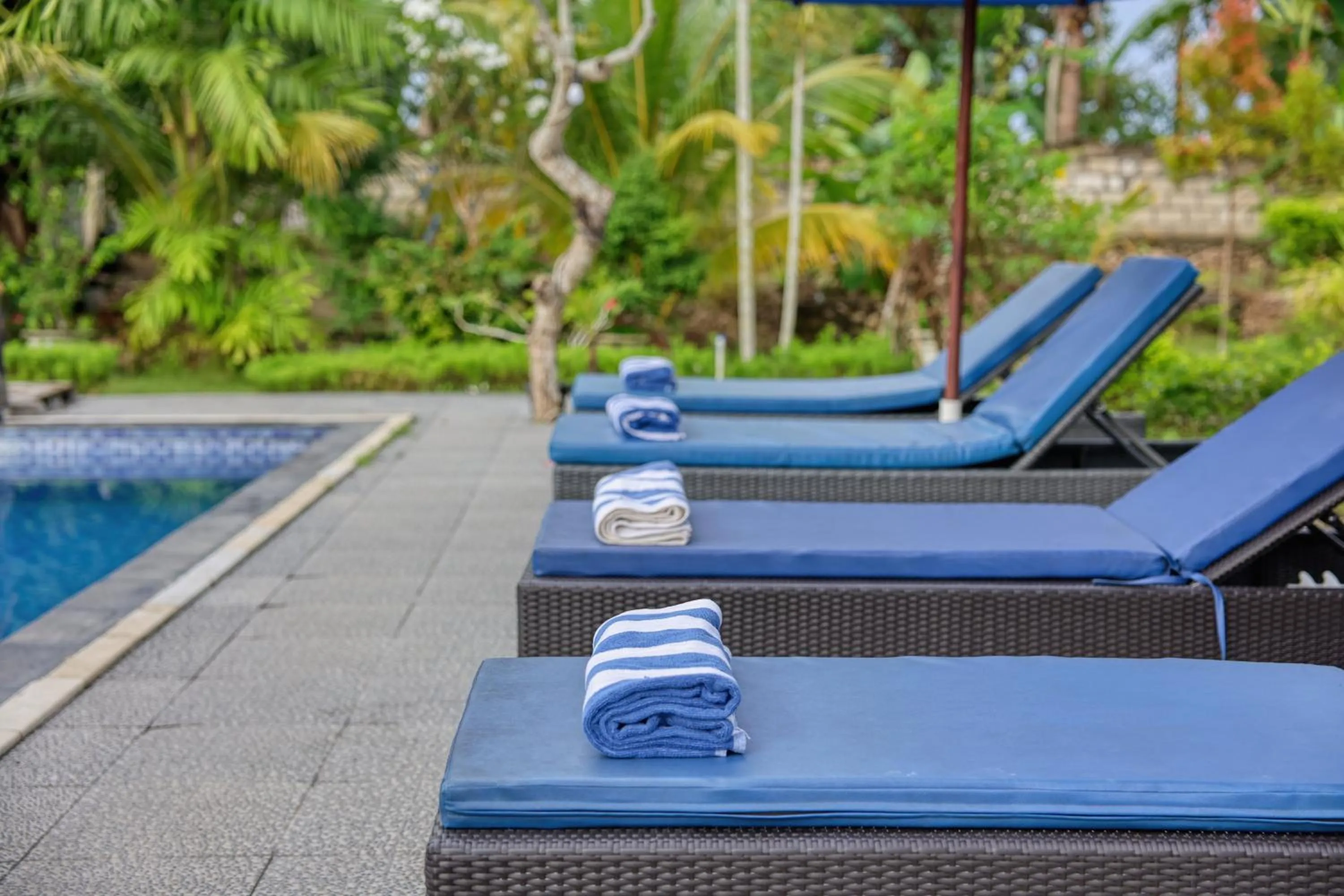 Swimming pool in RR Cottage